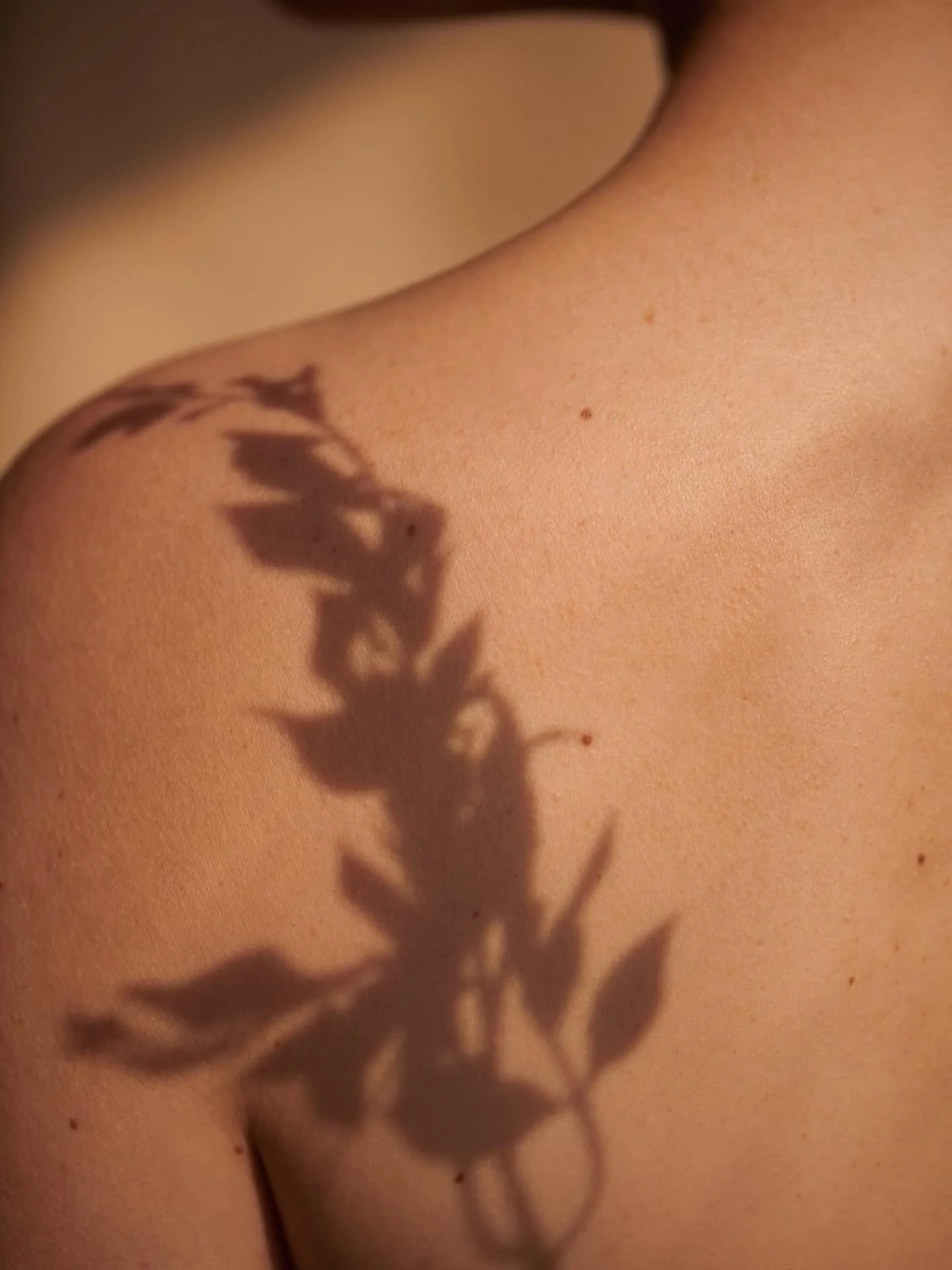 Body &ndash; The Foundation of Energy

The body is the core in TCM, where qi and blood circulate through meridians to support organ function and overall balance.

	&bull;	Qi stagnation or blood stasis &rarr; causes tight shoulders, neck, back tension