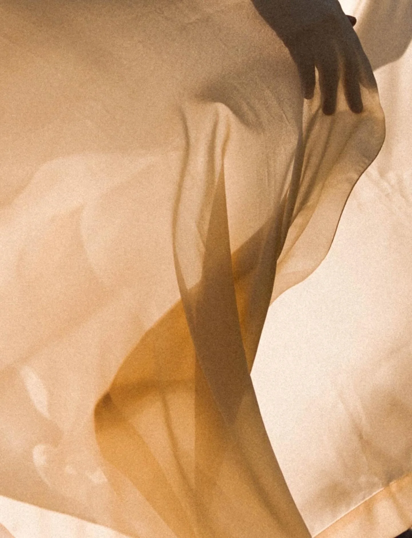 Mind &ndash; The Controller of Qi and Spirit

TCM emphasizes that the heart &ldquo;houses the mind&rdquo; (Shen), meaning emotional and mental states directly impact qi, blood, and organ function.

	&bull;	Chronic stress, anxiety, or depression &rarr