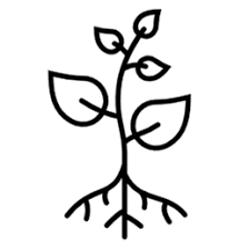 Laying the Foundations: Why the Lay Roots Session Exists