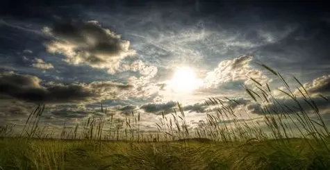 Open field with tall grass under a cloudy sky during sunset.