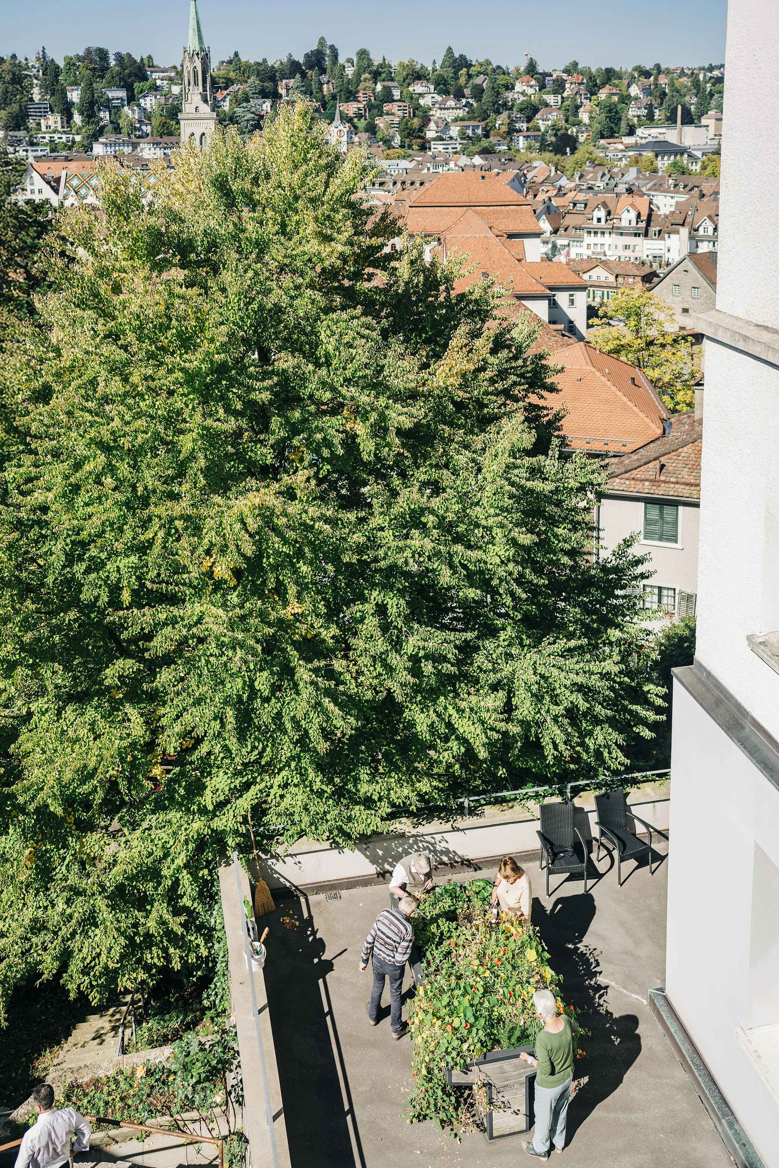 Auf einem Balkon in einer Stadt pflanzen Menschen gemeinsam Blumen und pflanzen. Der Blick geht auf grüne Bäume, Dachhäuser und eine Kirche. Es ist ein sonniger Tag.