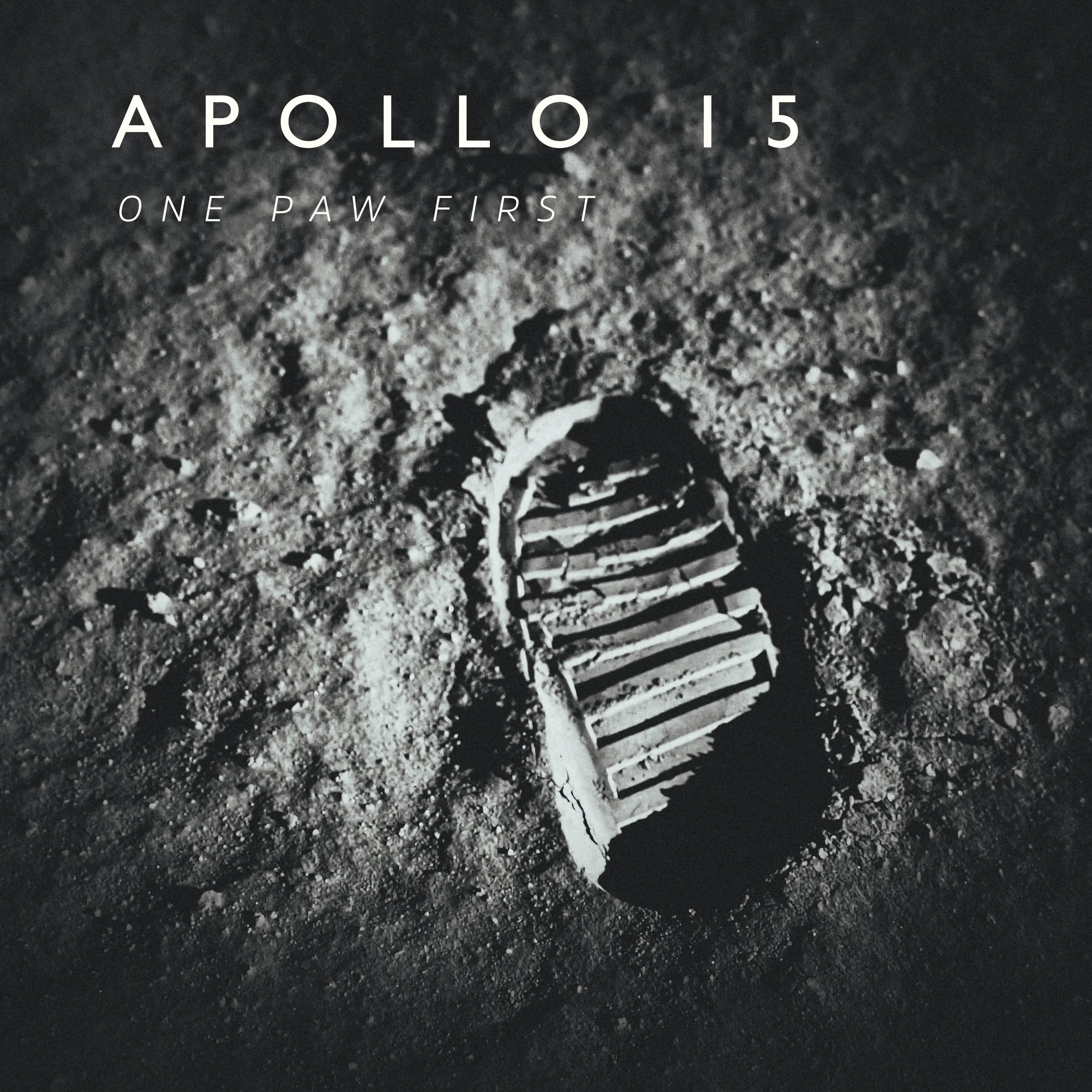 Apollo 15 - One Paw First.jpg