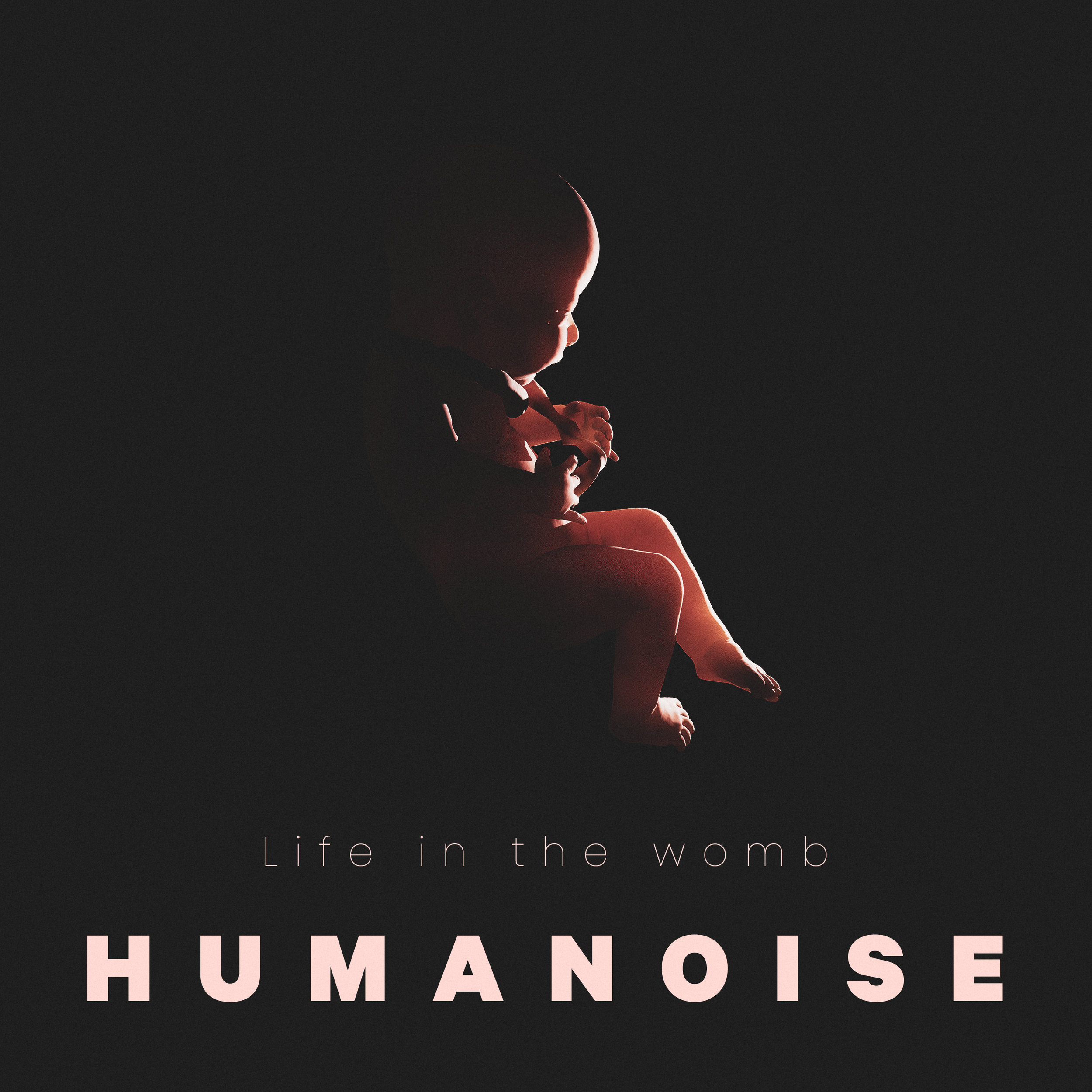 Artwork - Humanoise - Life in the womb.png