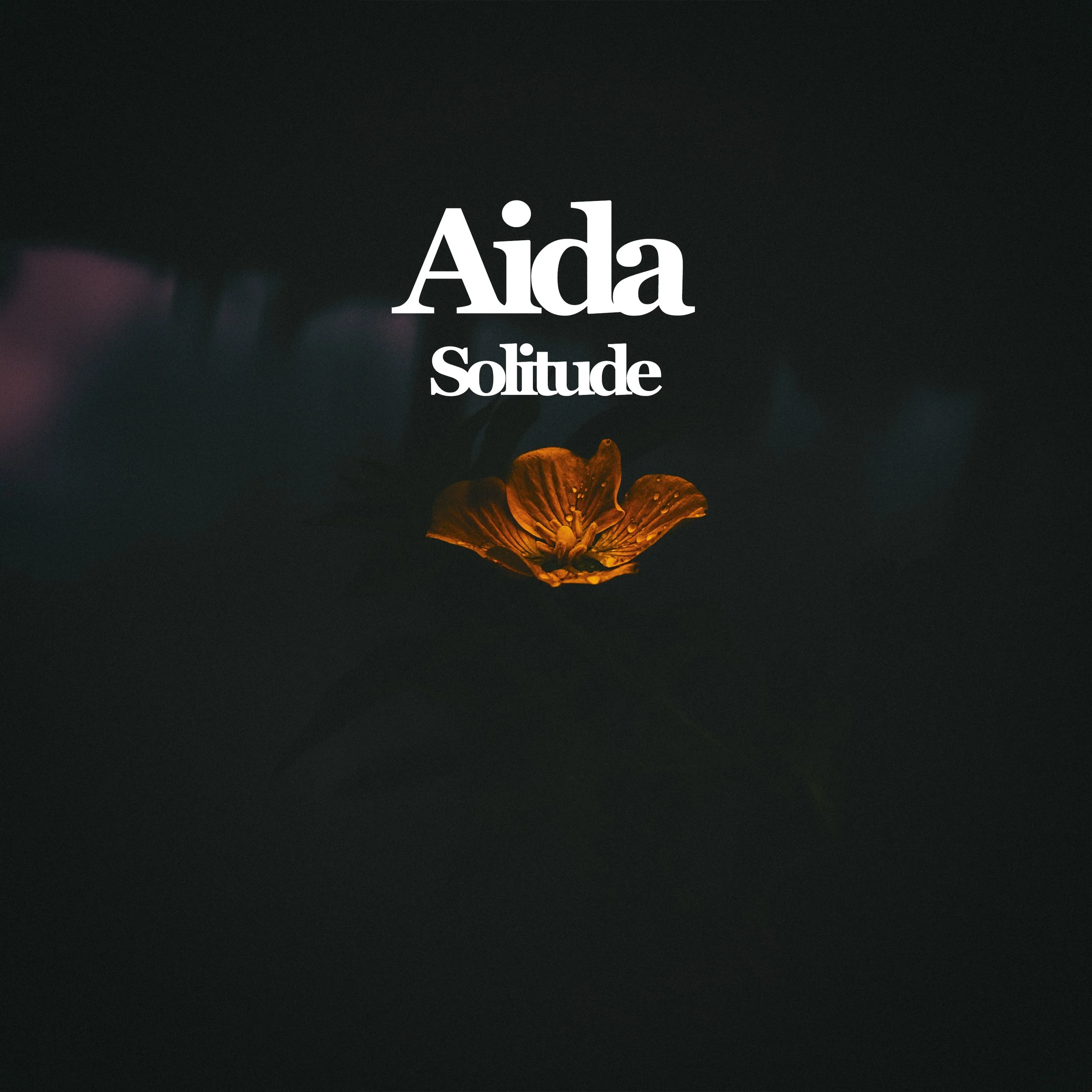 Aida - Solitude.jpg