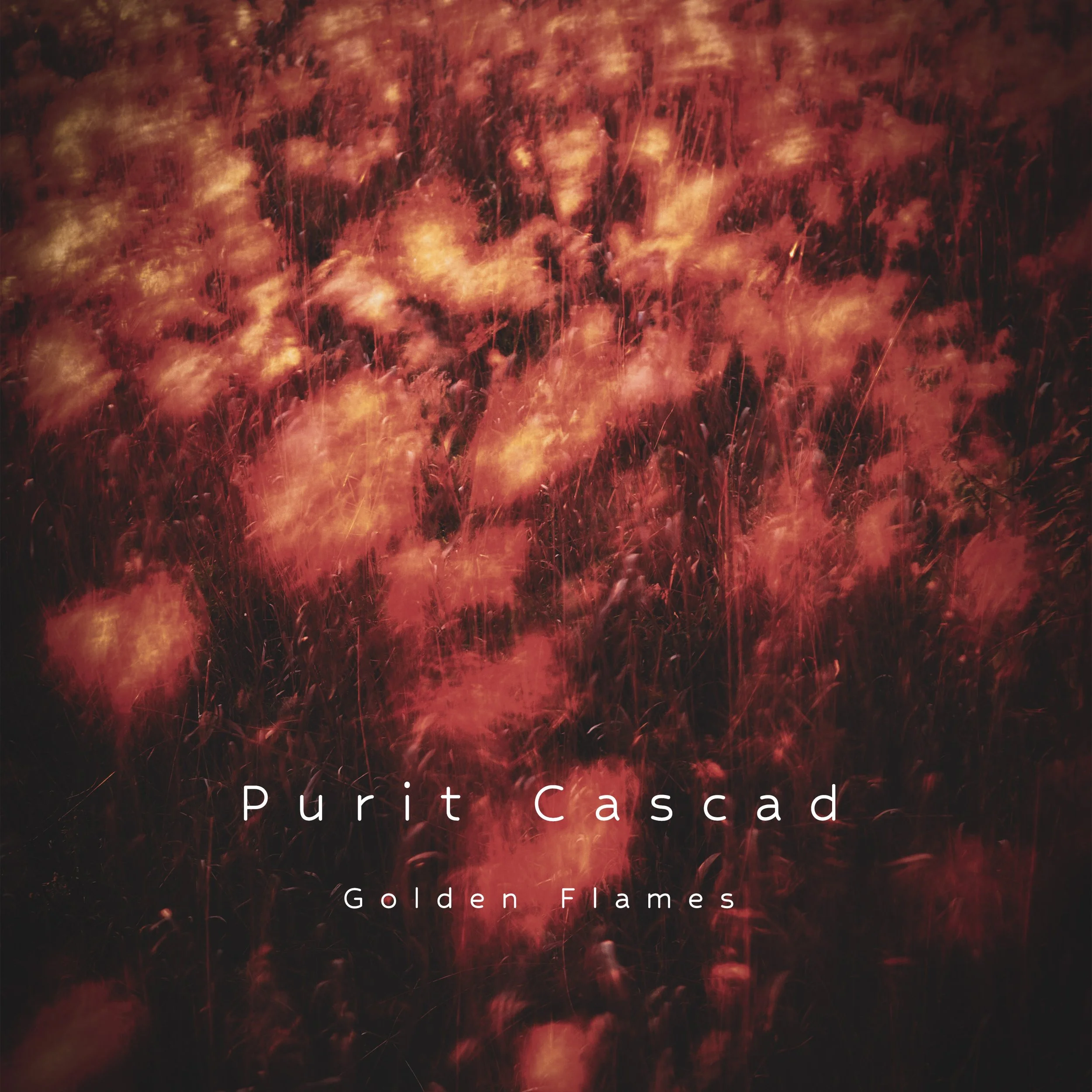 Purit Cascad - Golden Flames.jpg
