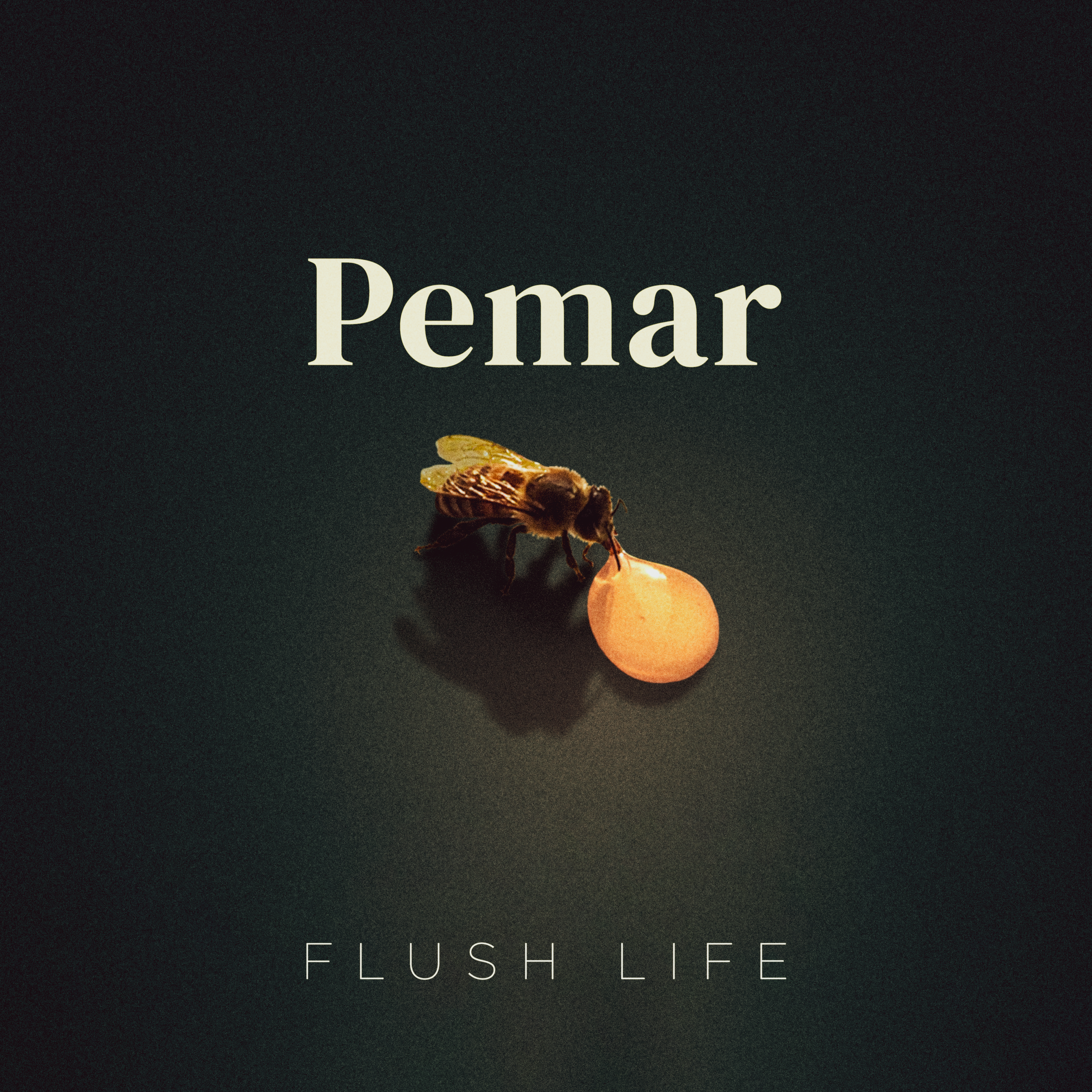 Pemar -  Flush Life.png