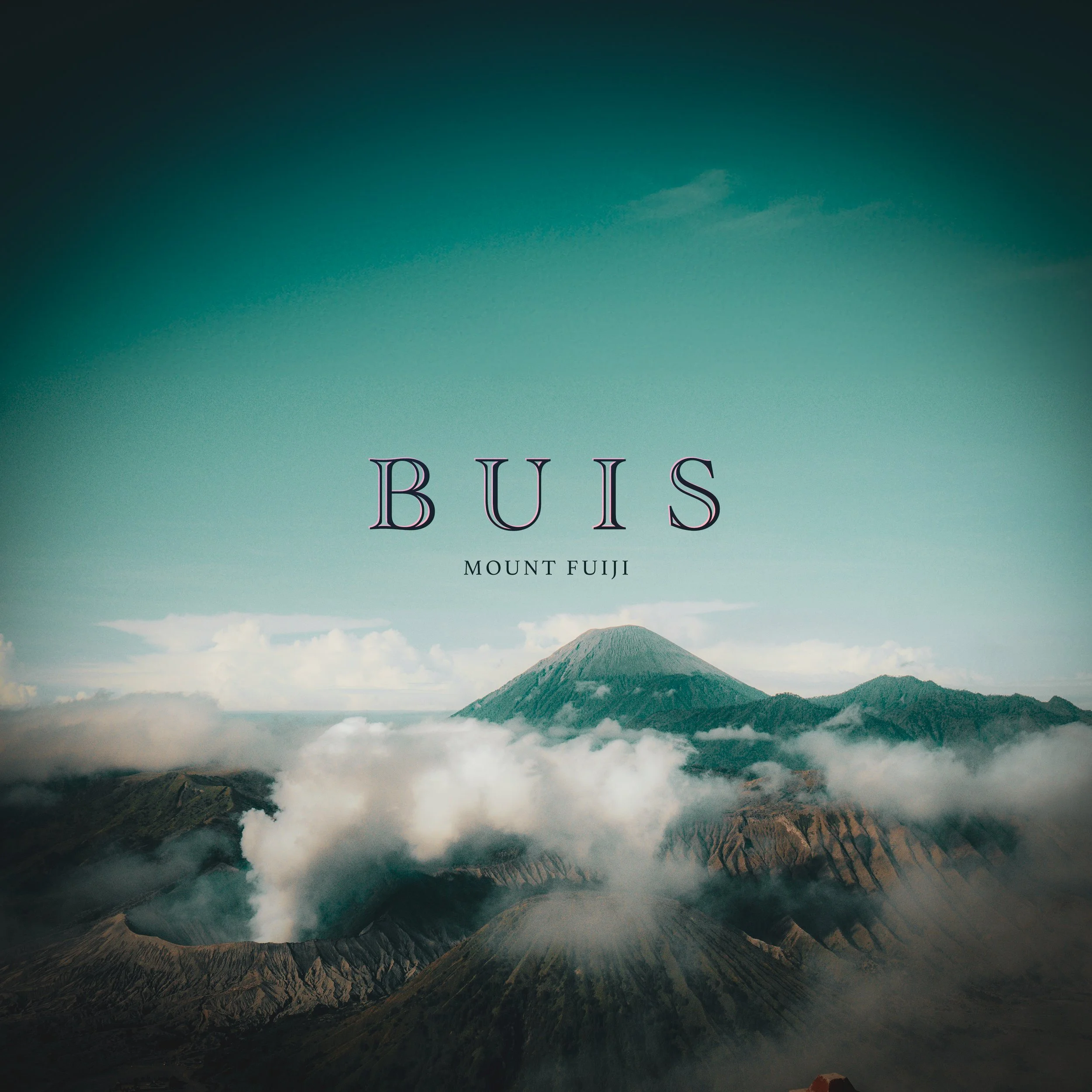 Artwork - Buis - Mount Fuiji.jpg