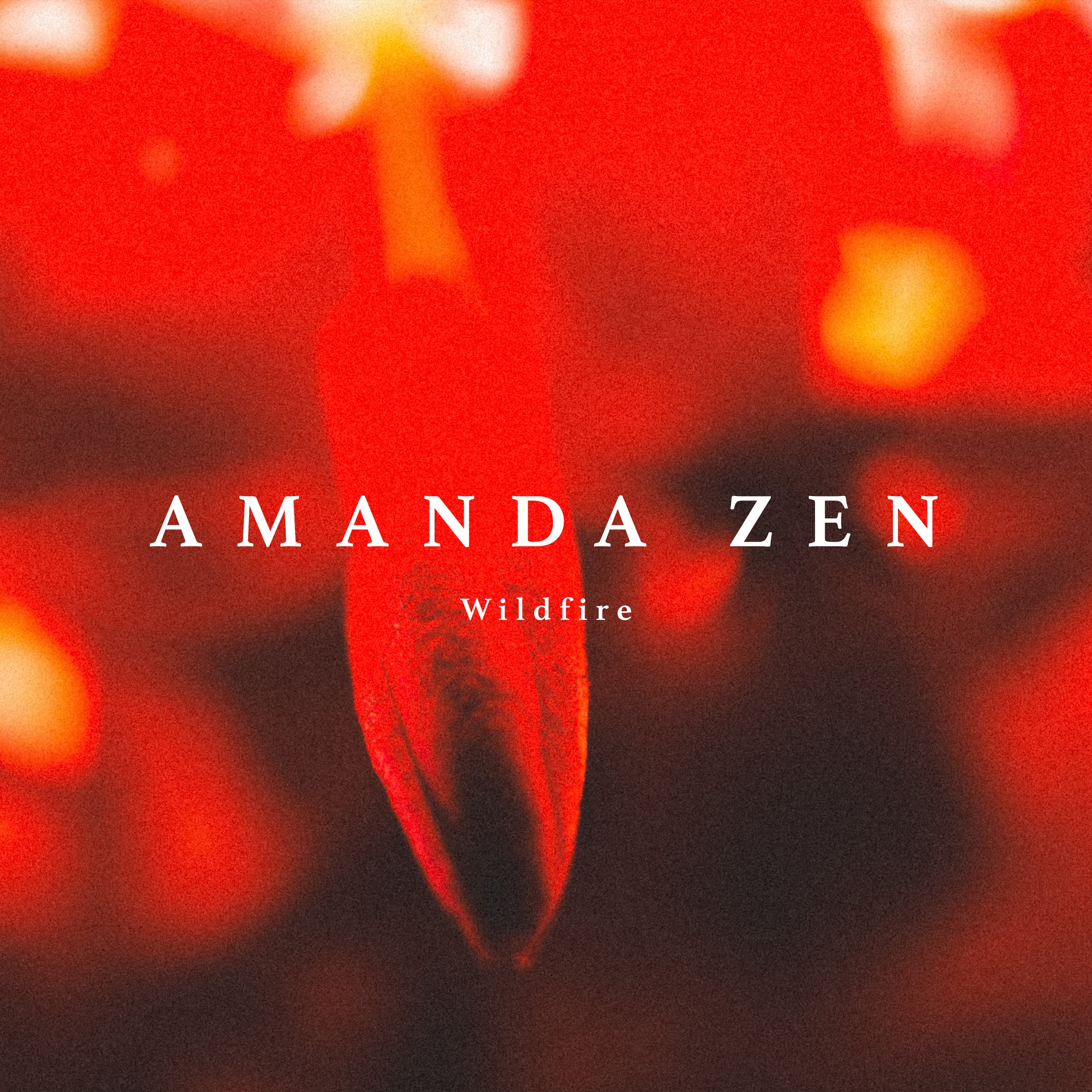 Amanda Zen - Wildfire.jpg