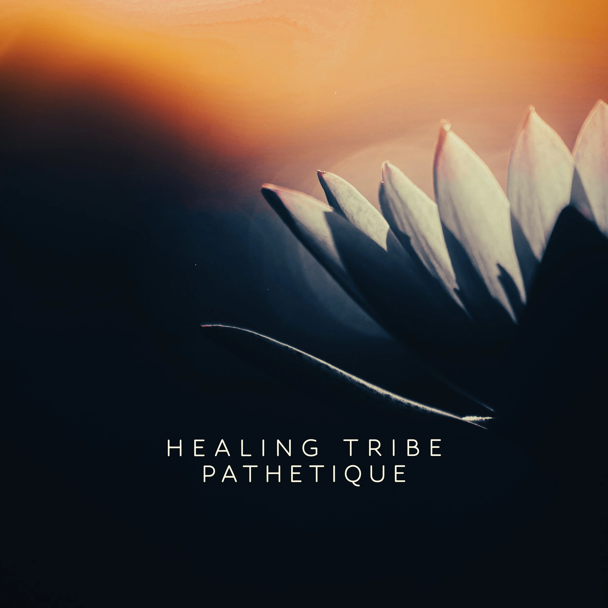 healing tribe - Pathetique.jpg