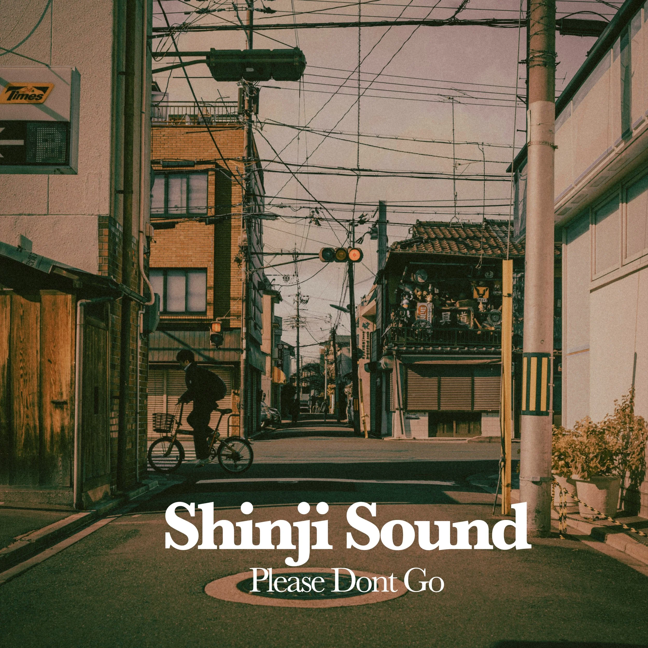 Shinji Sound - Please Dont Go.jpg