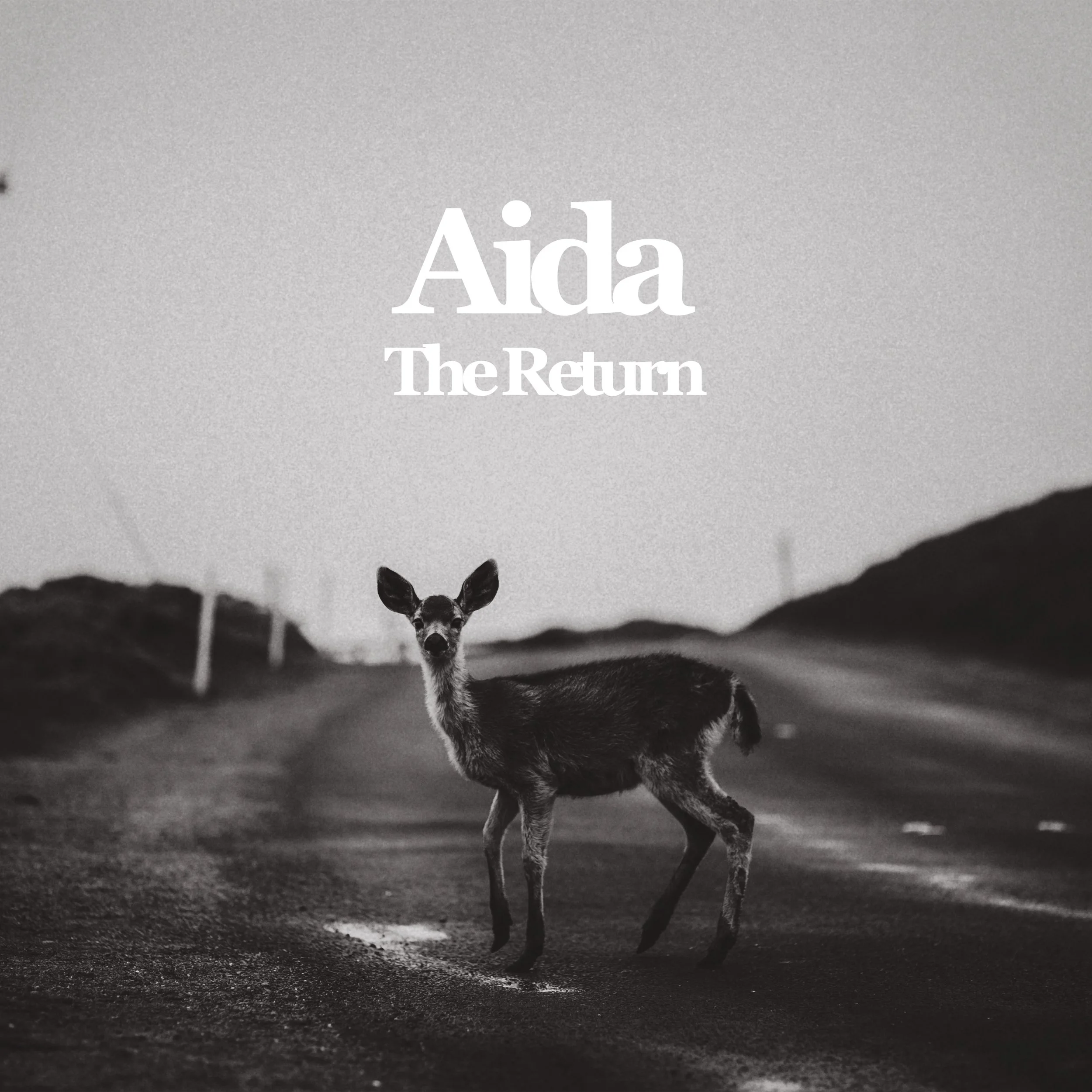 Aida - The Return.jpg