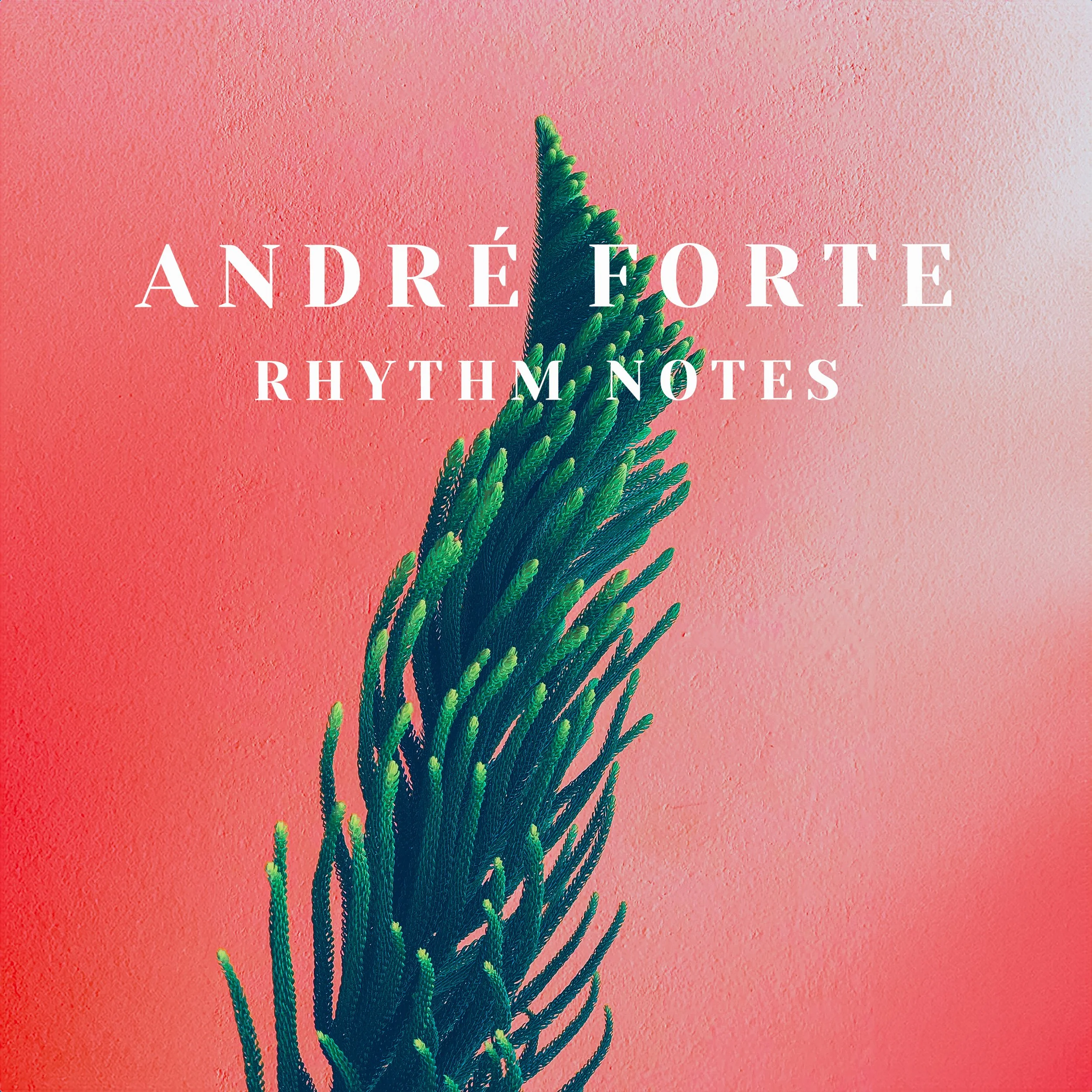 André Forte - Rhythm Notes.jpg