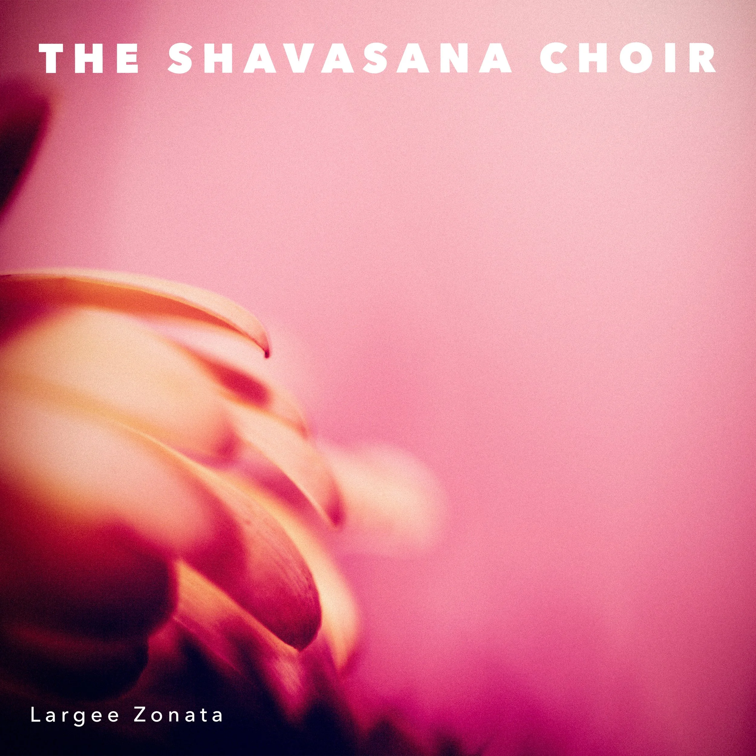 The Shavasana Choir - Largee Zonata.jpg