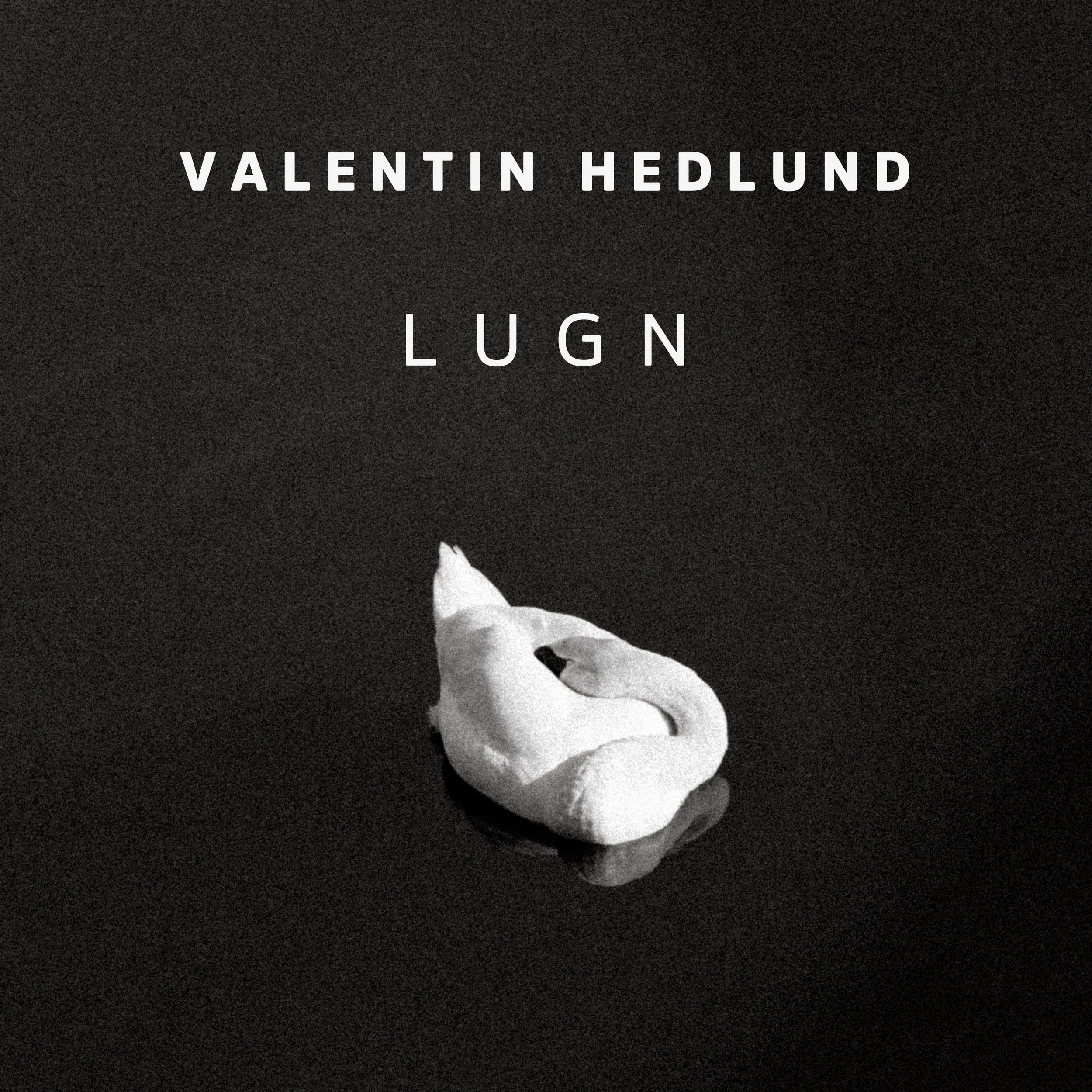 Artwork - Valentin Hedlund Lugn copy.jpg