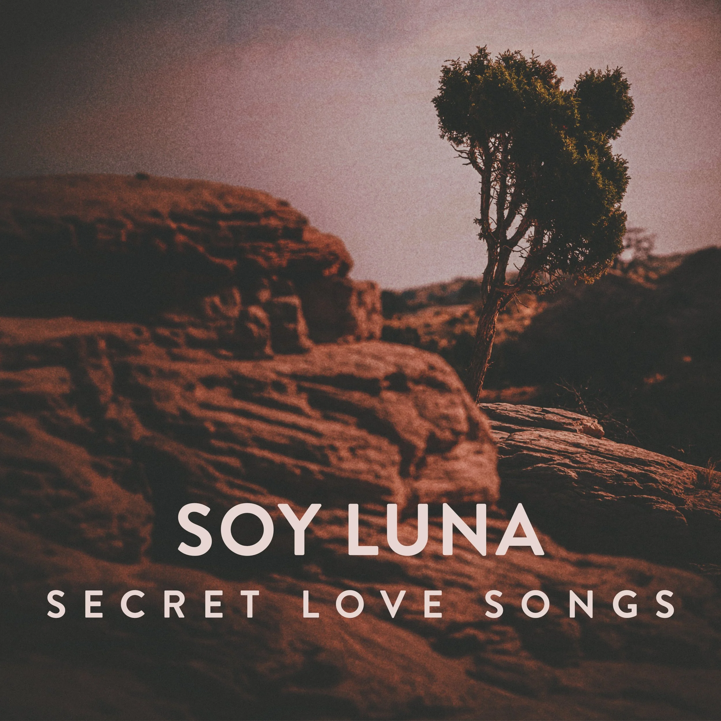 Soy Luna - Secret Love Songs.jpg