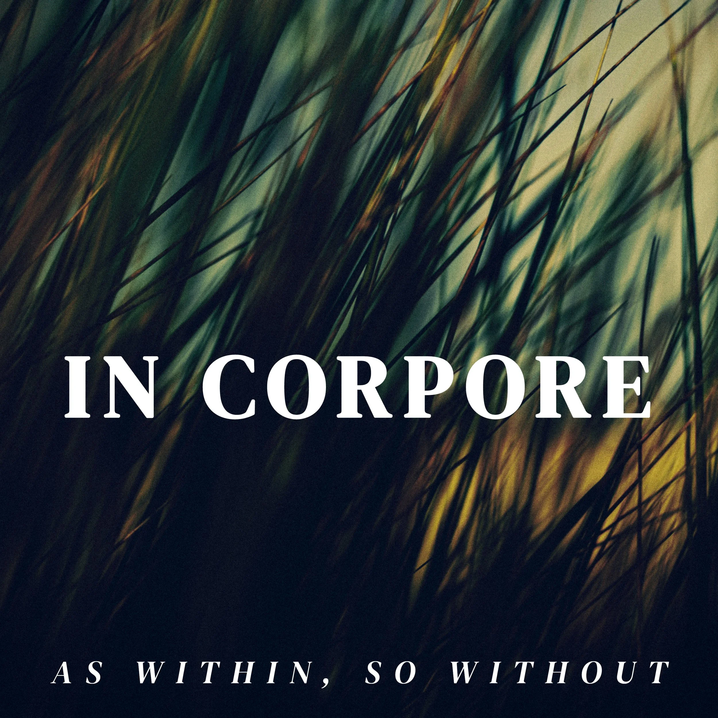 In Corpore - As Within, So Without.jpg