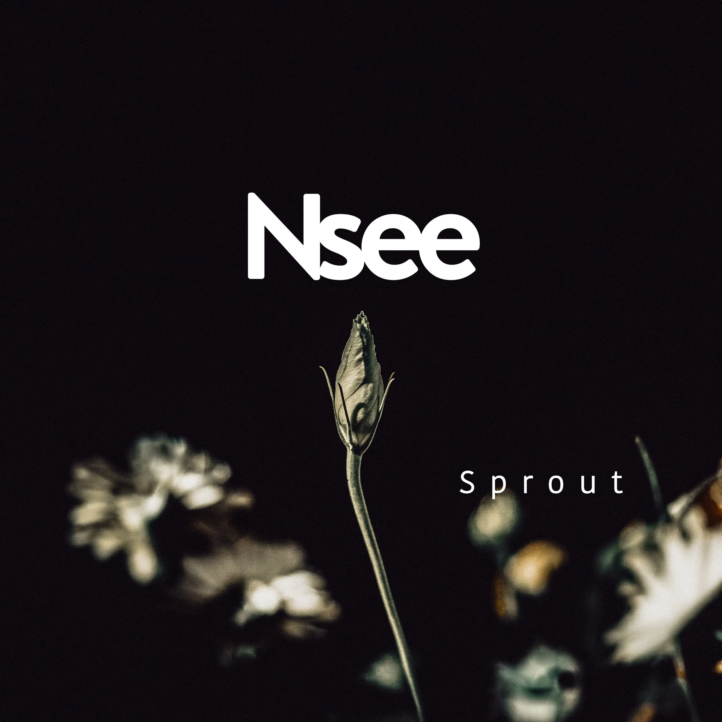 nsee - Sprout.jpg