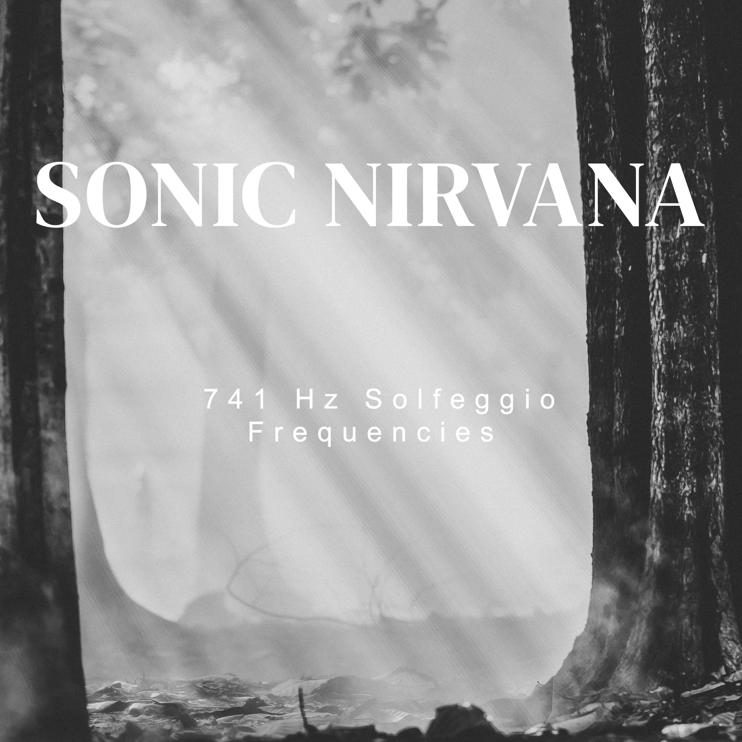 Artwork - Sonic Nirvana - 741 Hz Solfeggio Frequencies.jpg