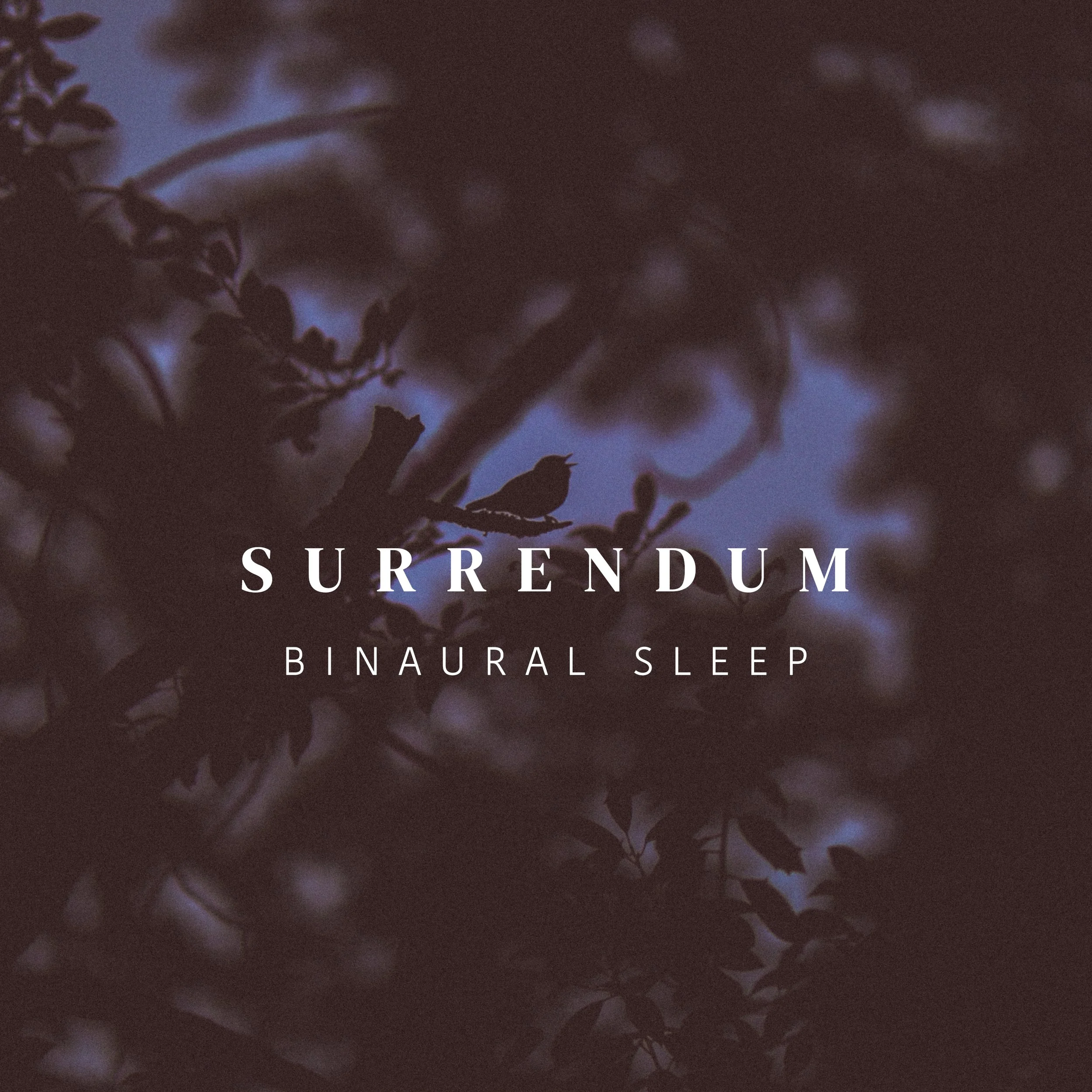 Artwork - Surrendum - Binaural Sleep copy.jpg