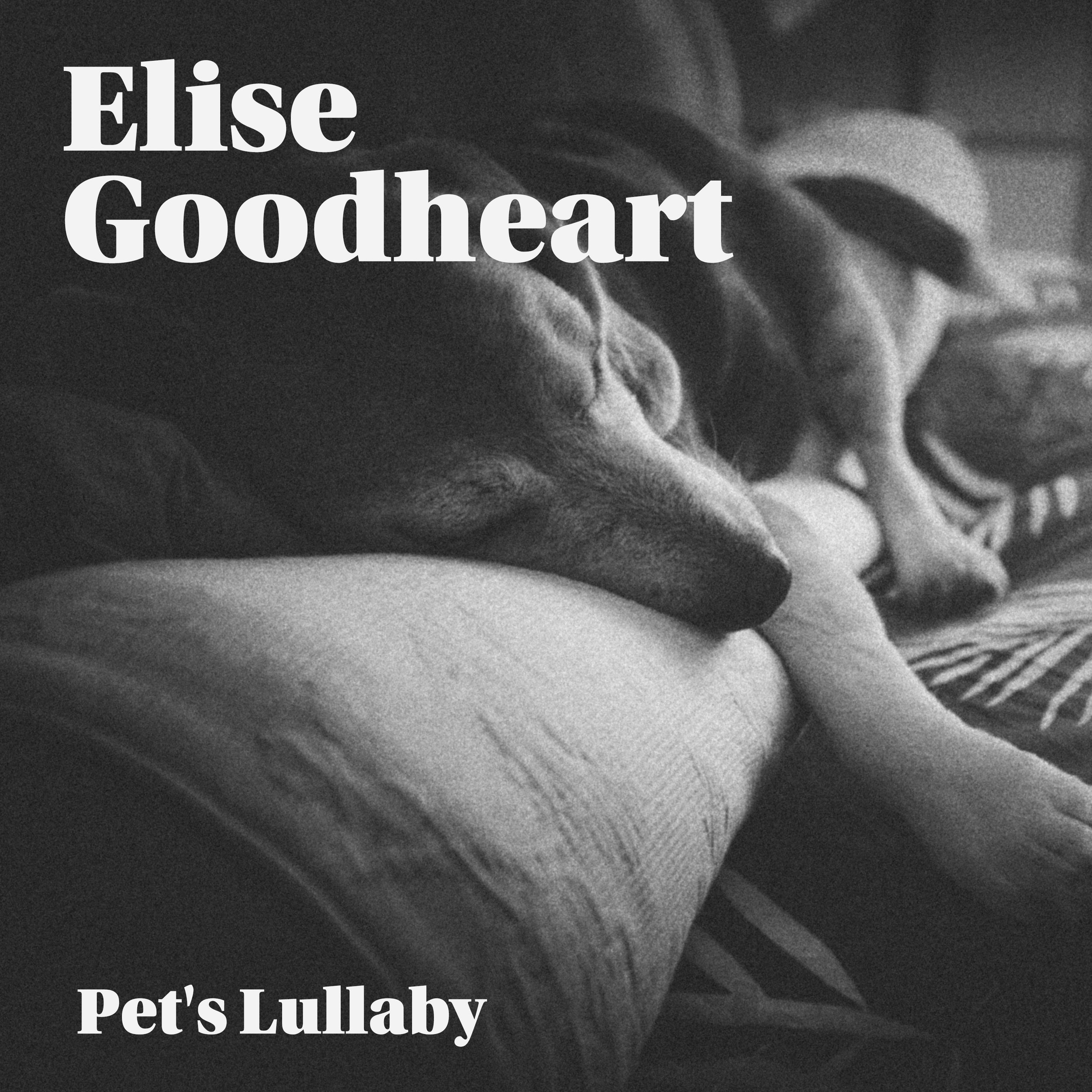 Artwork - Elise Goodheart - Pet's Lullaby copy 2.jpg
