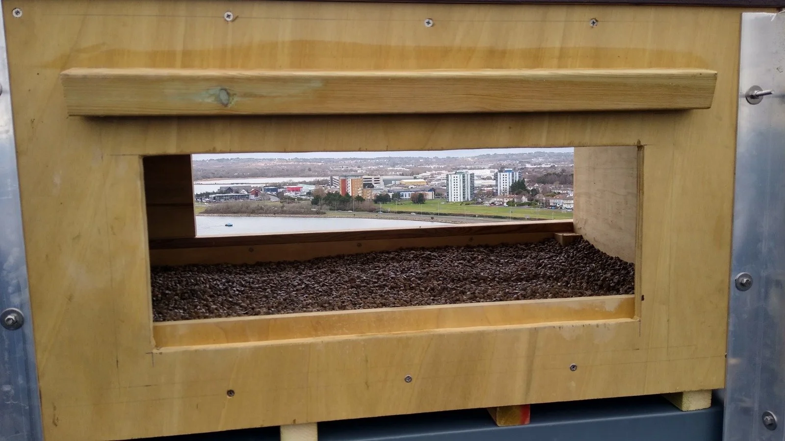 Freshly installed peregrine next box