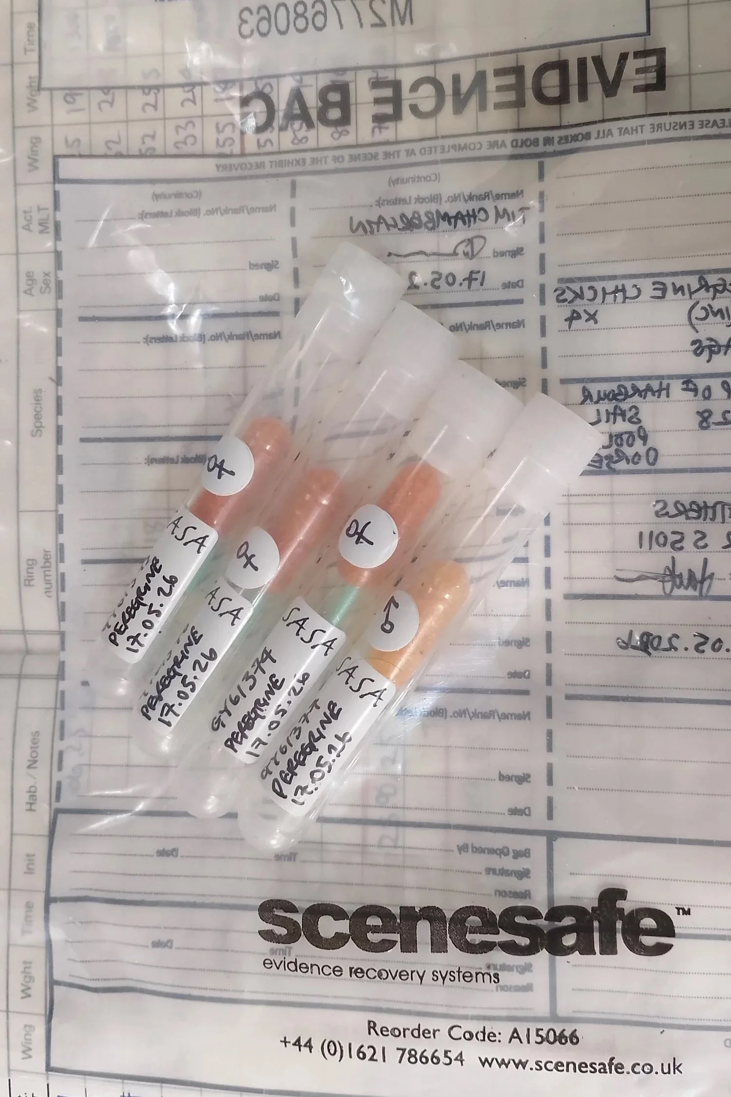Poole Peregrine DNA samples in tubes