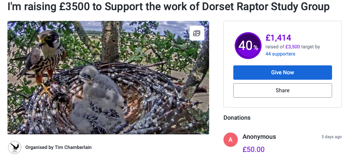 DRSG Just Giving page overview