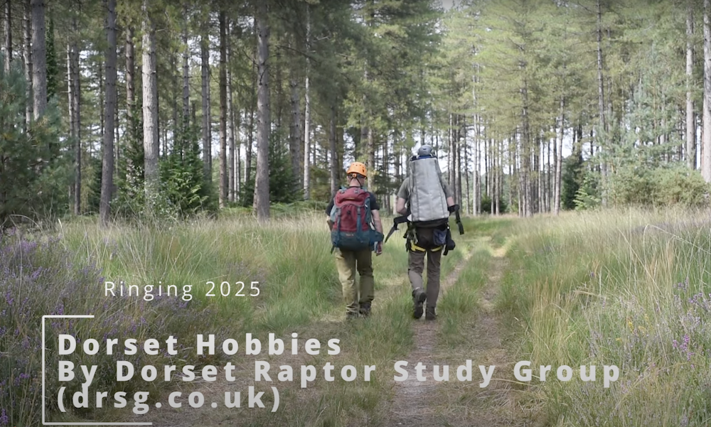 Youtube Thumbnail - people with rucksacks in forest