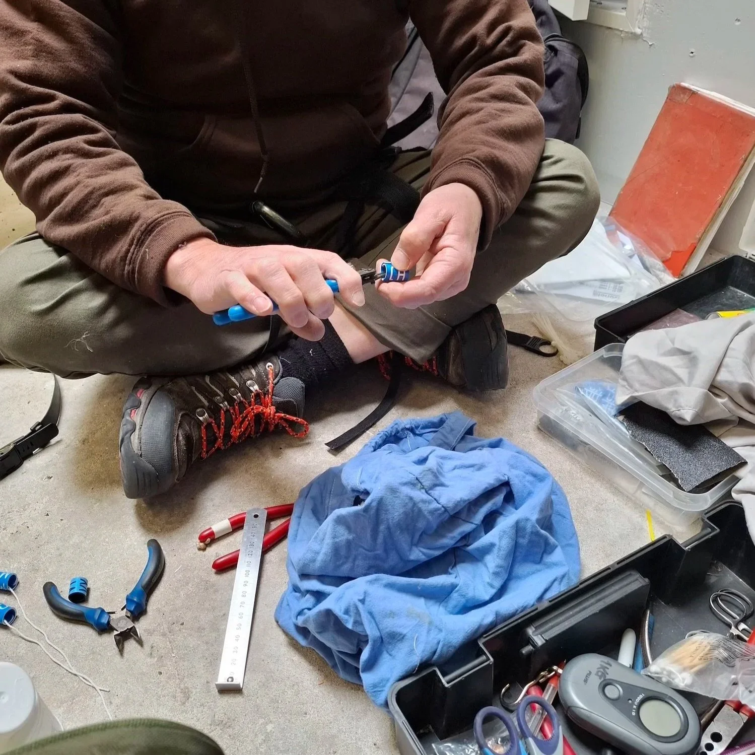 Raptor worker preparing a colour ring