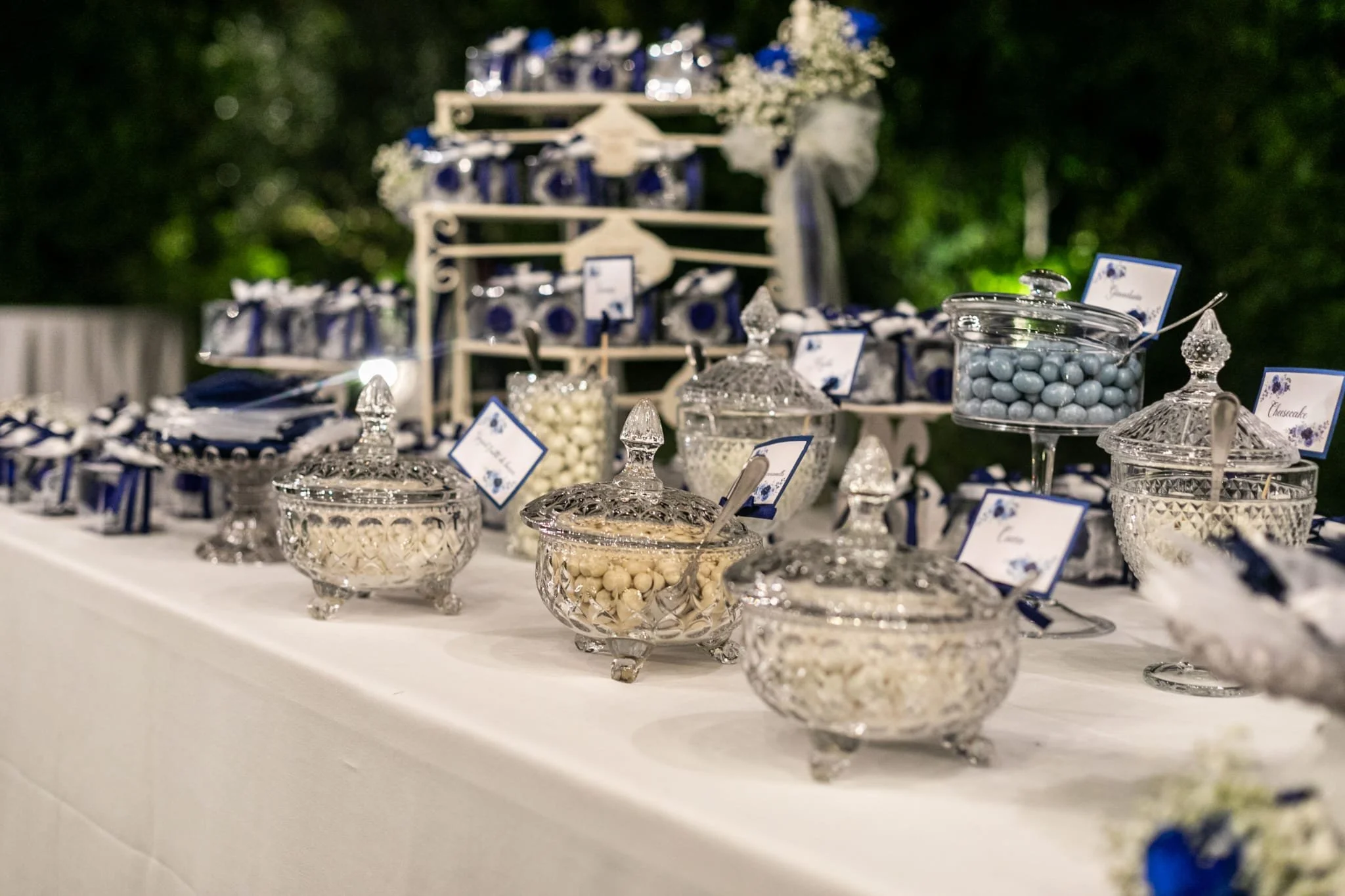 Grande confettata con vai gusti differenti, ampia vastità di scelta. il matrimonio riprendeva i colori del bianco perla e del blu. un allestimento ricco e pieno di dettagli luminosi 