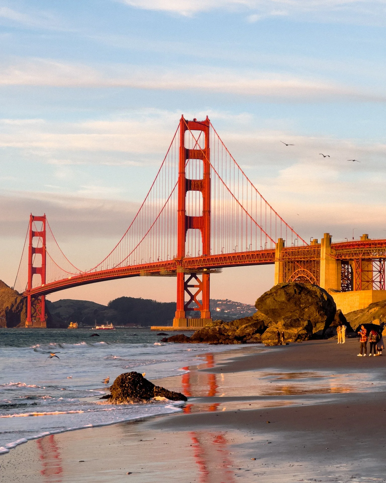 Analogue Colour-1.jpg