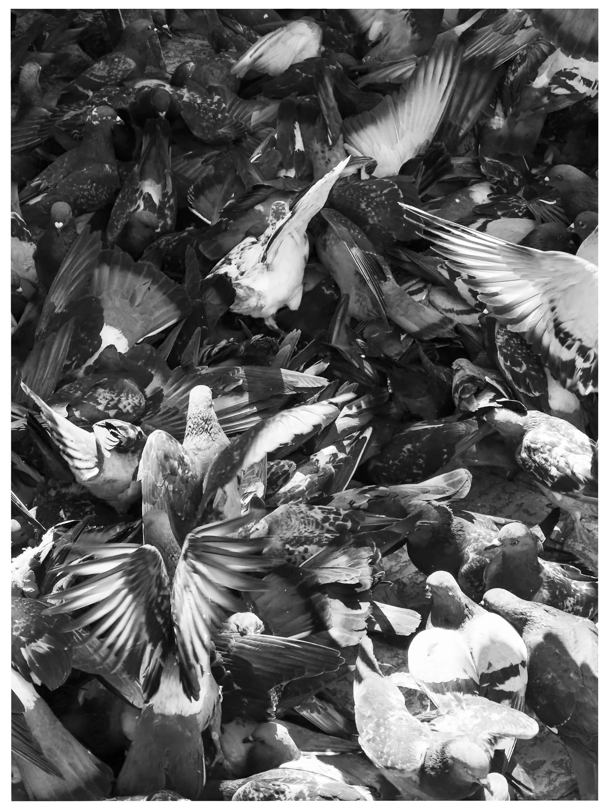 Small Preset Images-8.jpg