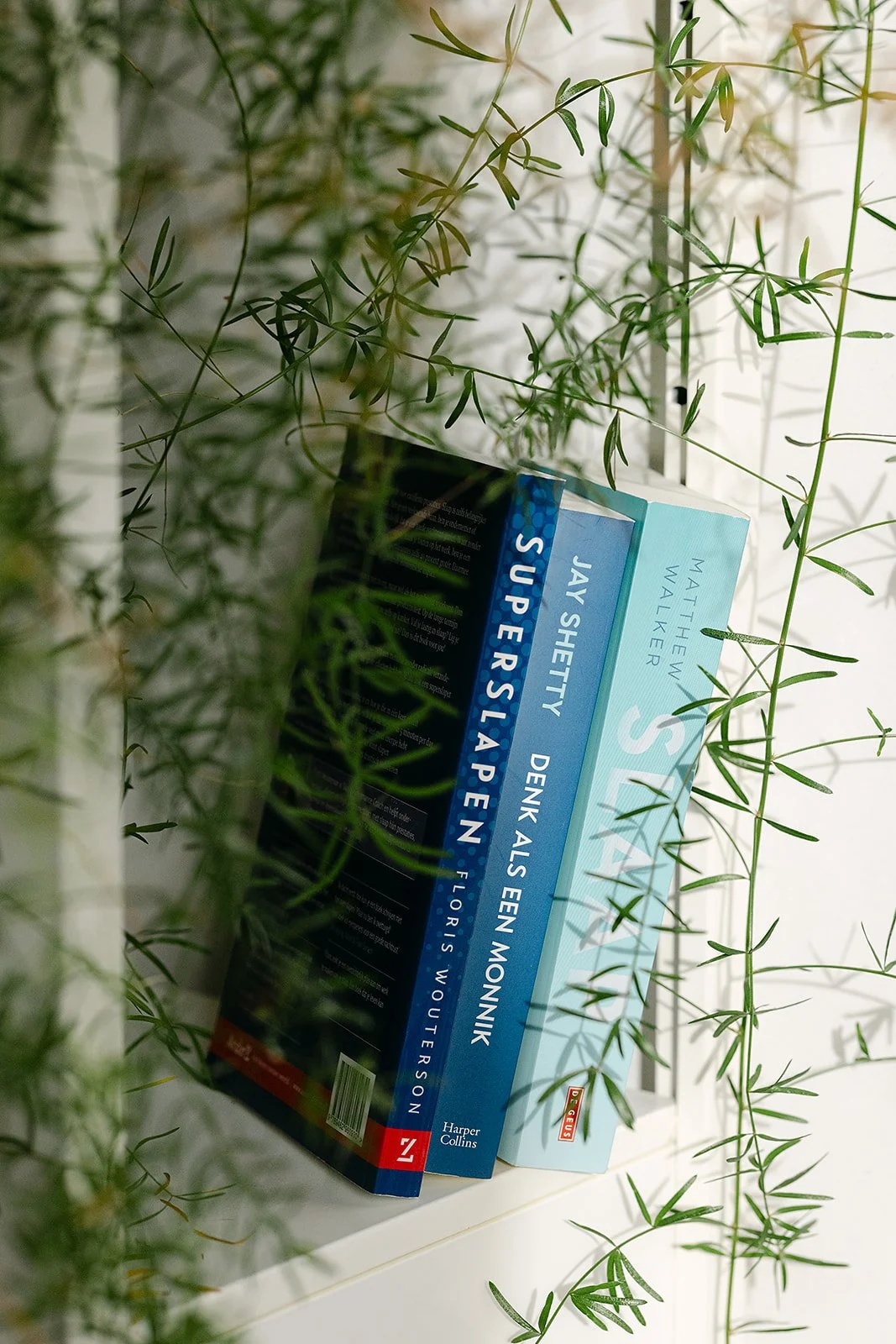 Twee boeken liggen op een witte plank, omgeven door groene, rankende planten. De titels van de boeken zijn zichtbaar.