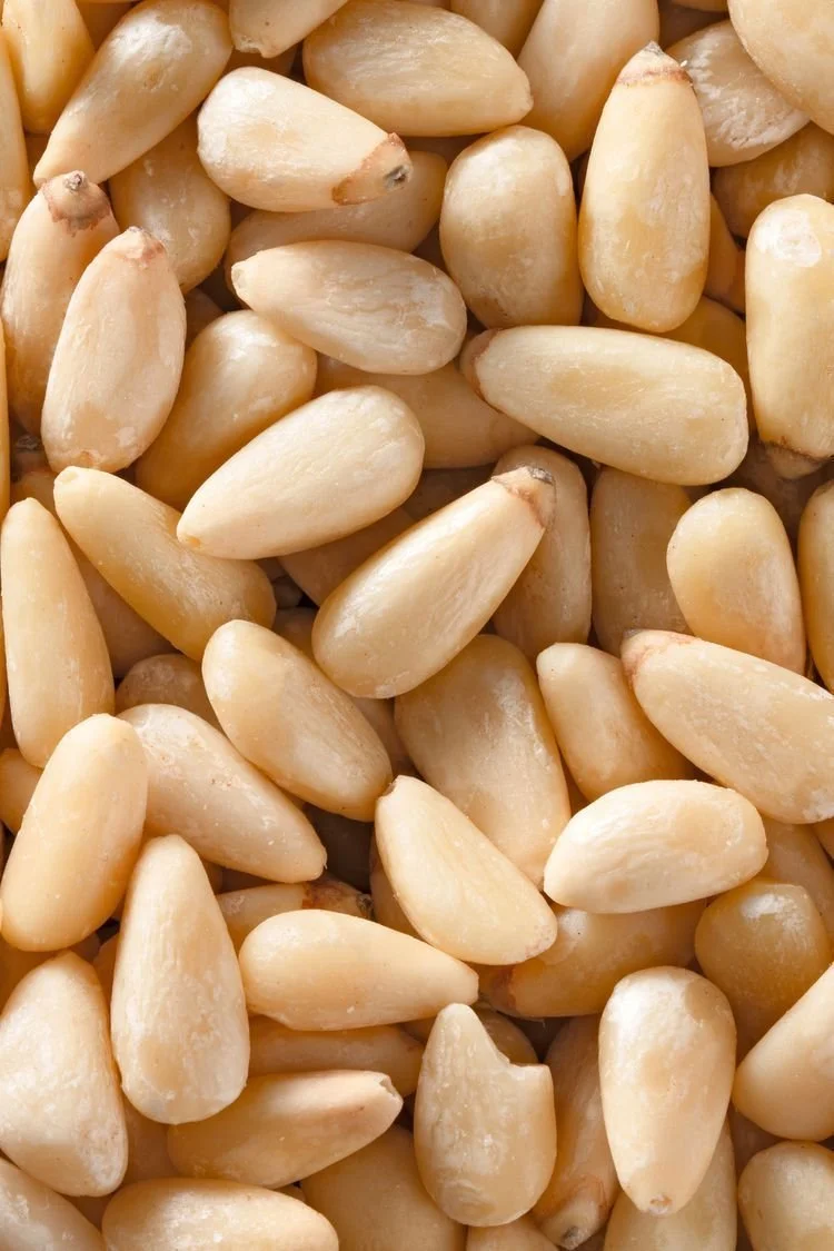 PINE NUT.jpg