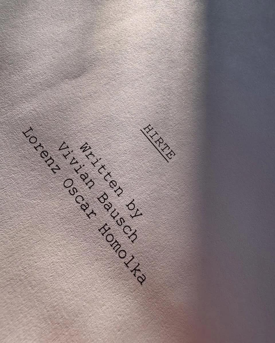 Drehbuch:&nbsp;HIRTE