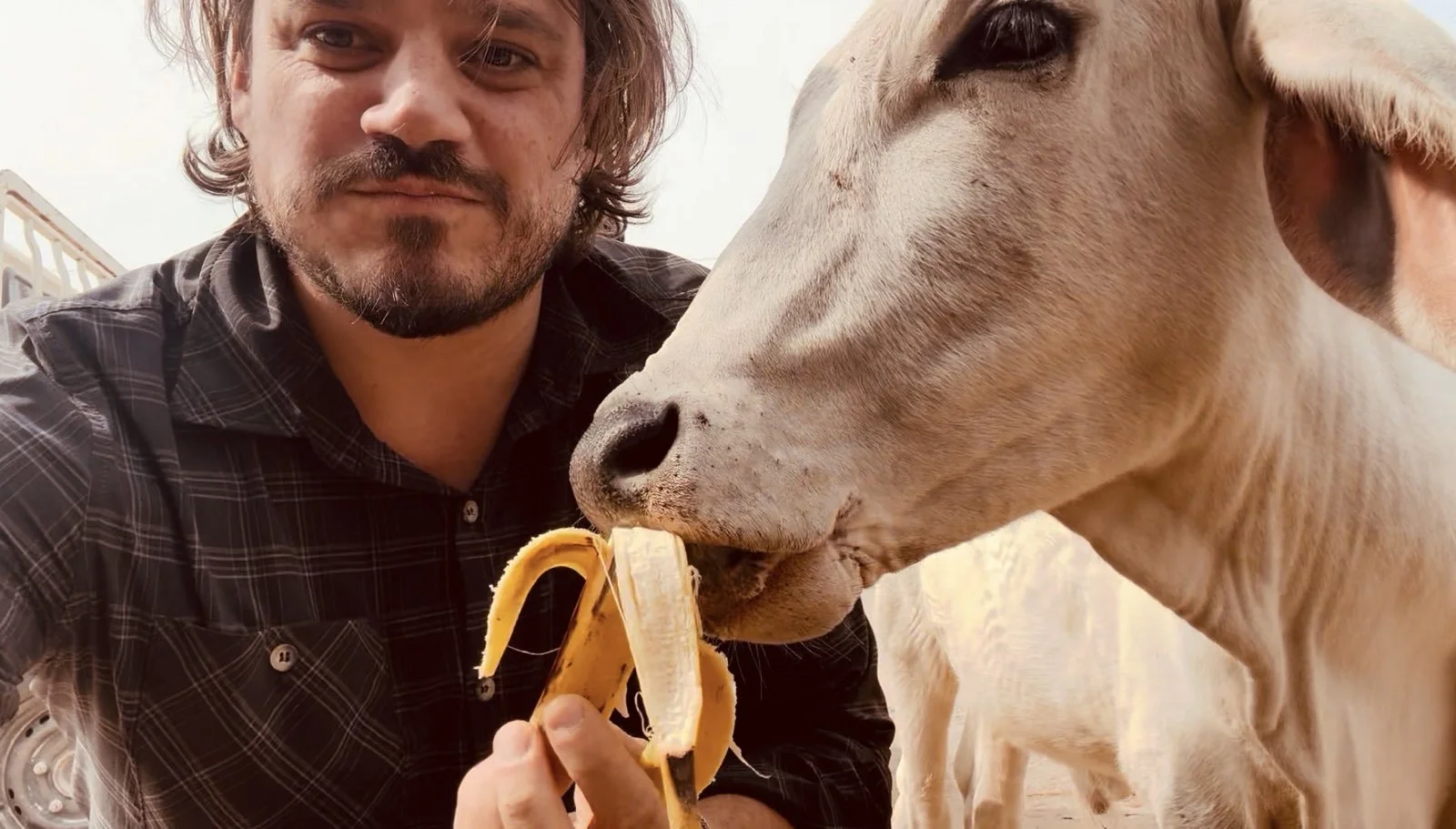 Indien: Philosophie und Lebensweisen