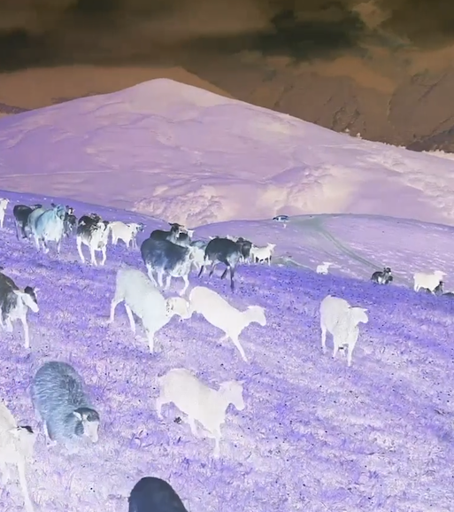 LINZ FMR – Festival for art in digital contexts and public spaces