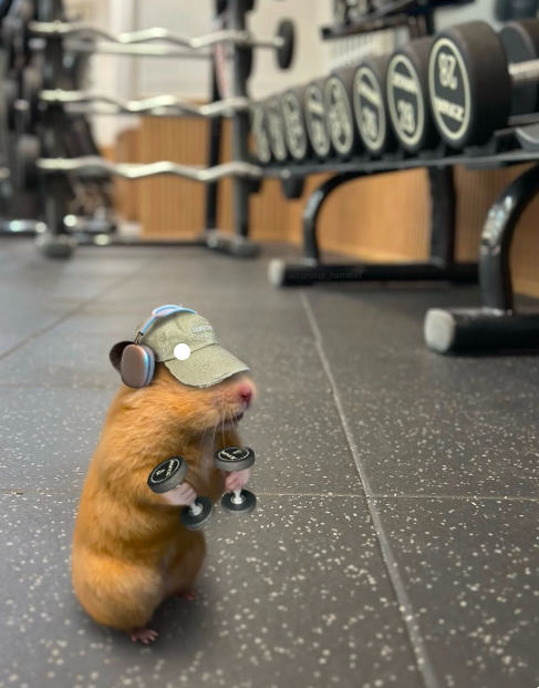 Screenshot 2025-12-10 114834.png