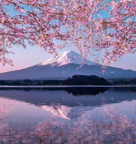 Screenshot 2025-12-10 120232.png