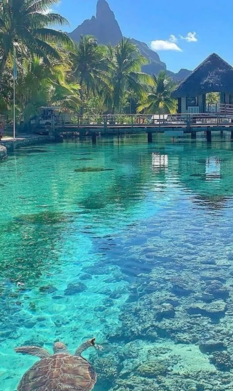 Screenshot 2025-12-10 120134.png