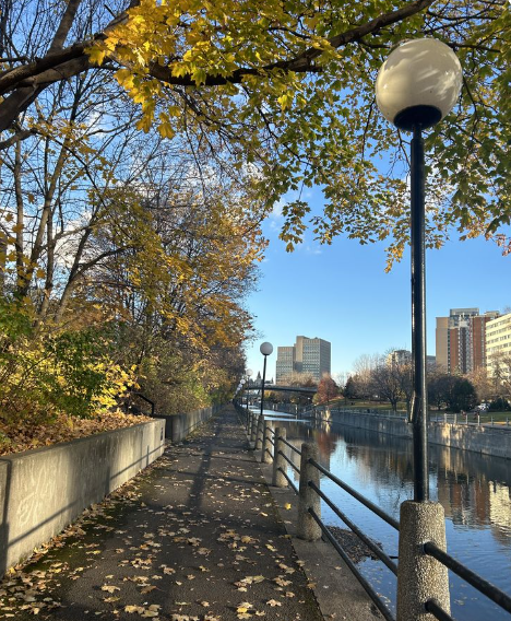 Screenshot 2025-12-10 115917.png