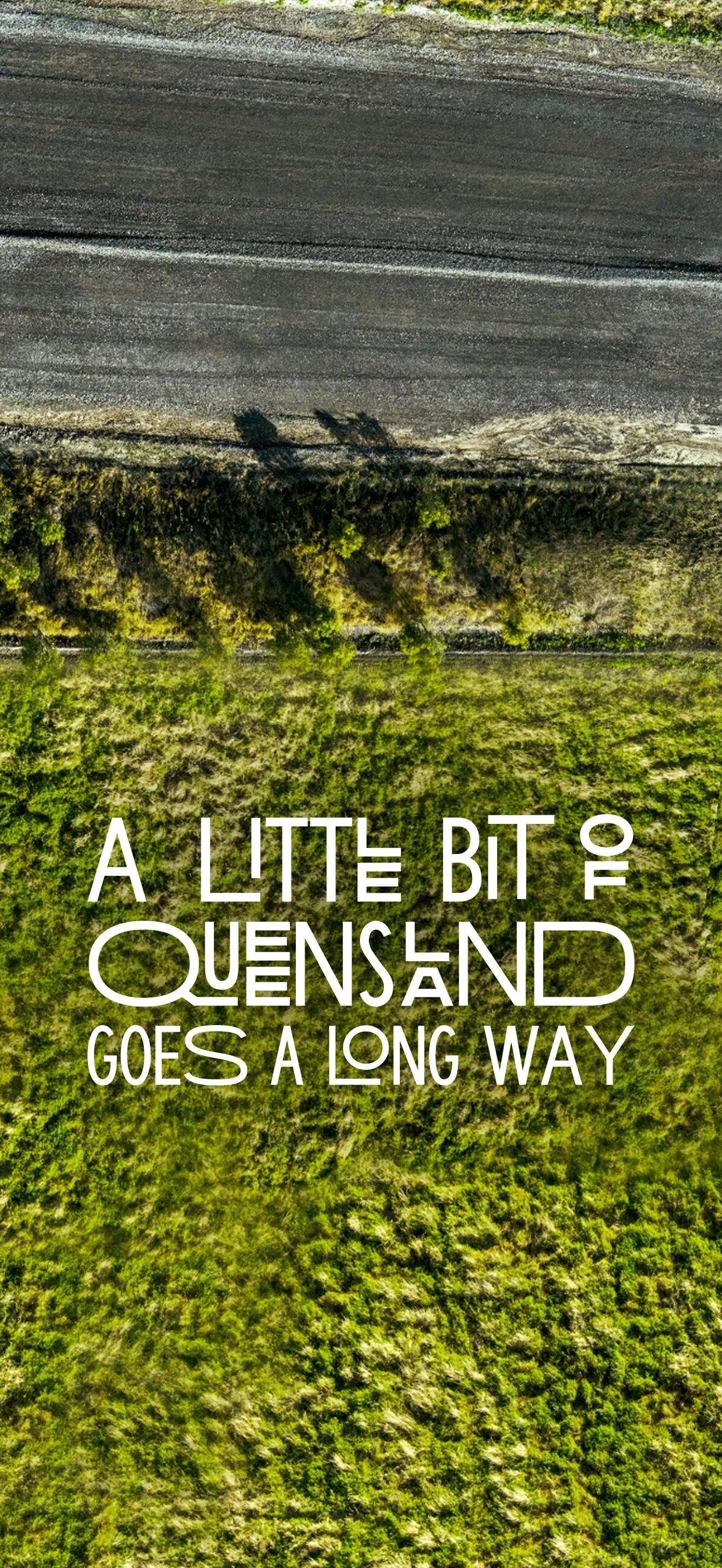 LBOQ_iOS_Rehab B.jpg