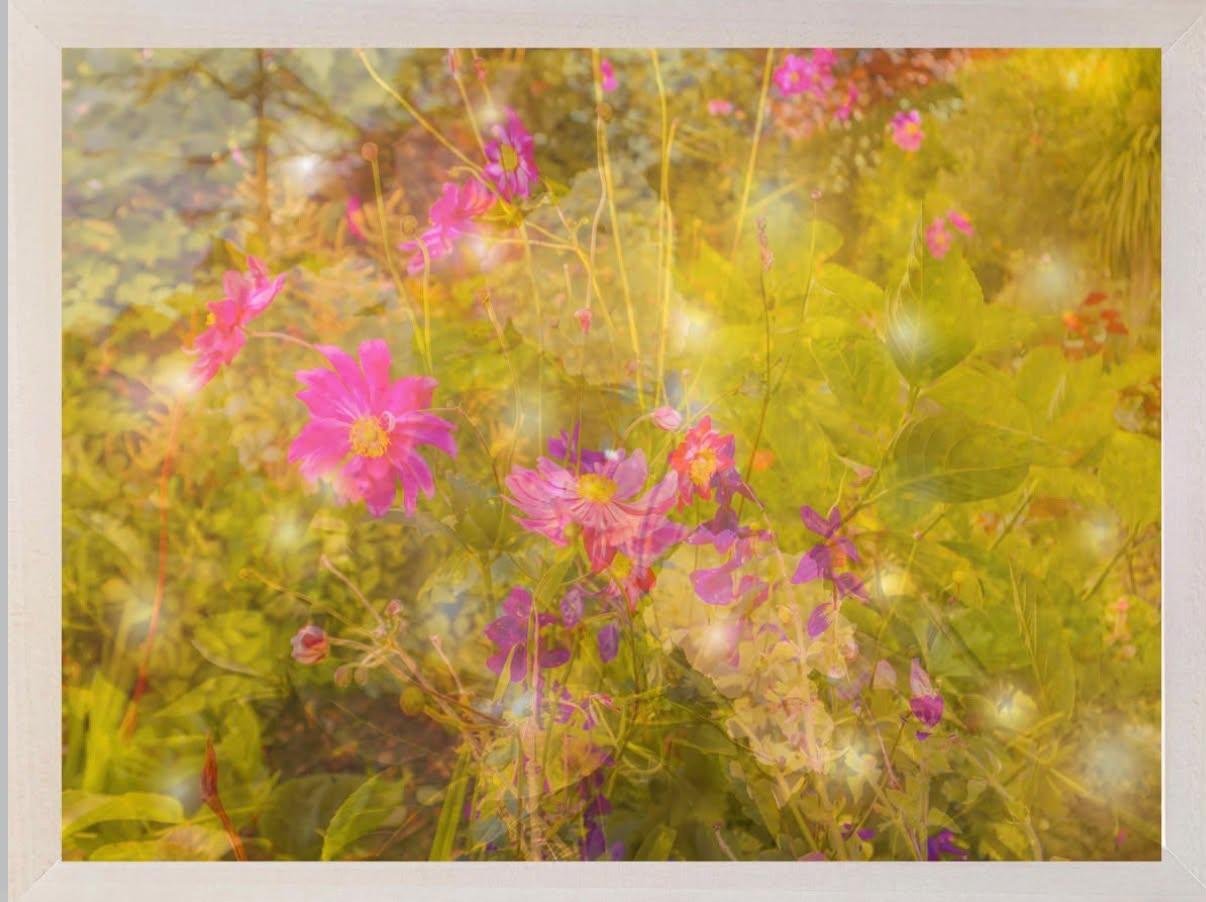 Will the dream come back?
Archival Hanemuhle photo
rag paper with anti reflective glass, A5 Jennifer Reynolds
Suggested starting price xxx€