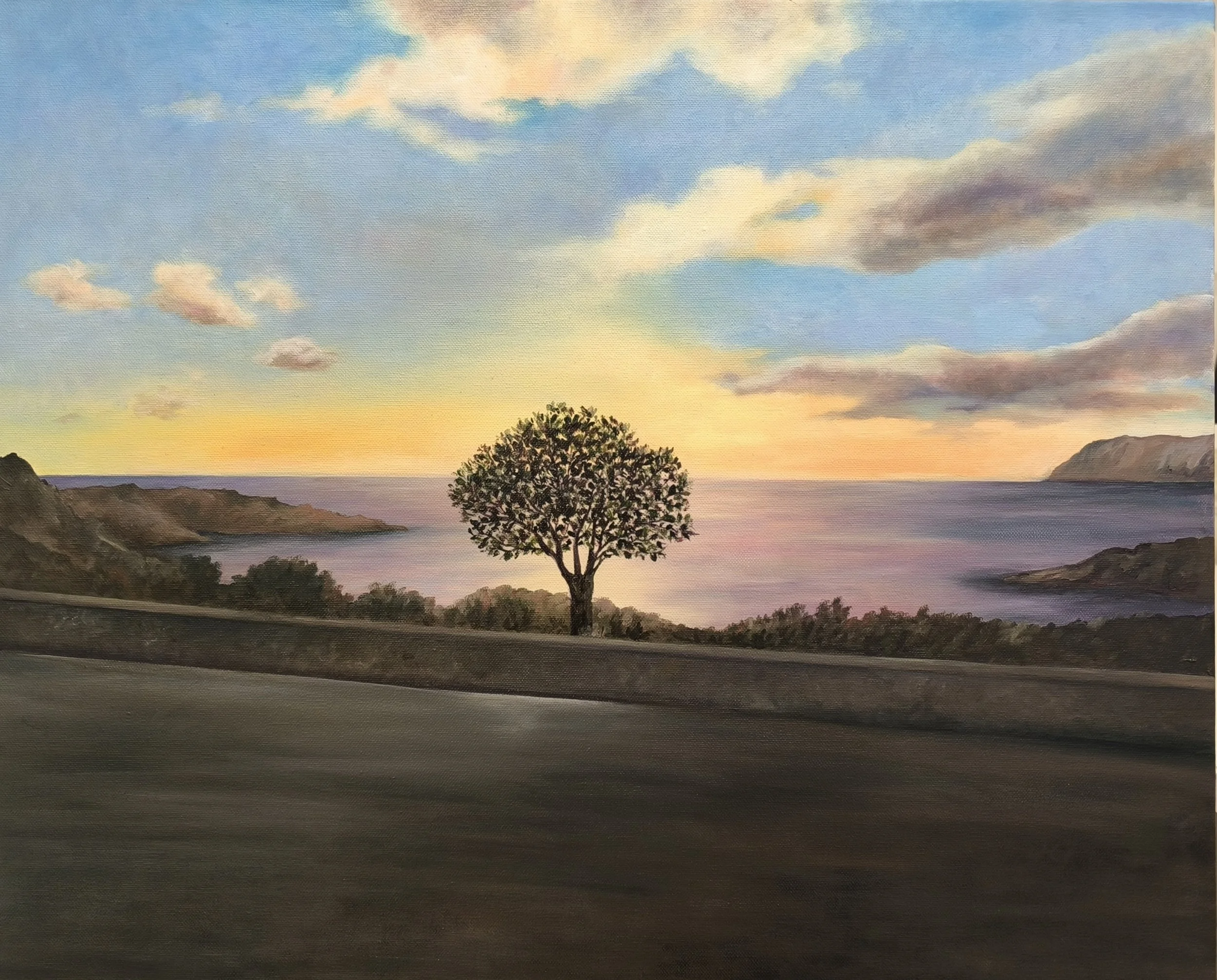 Alba, belvedere di Cala di Volpe