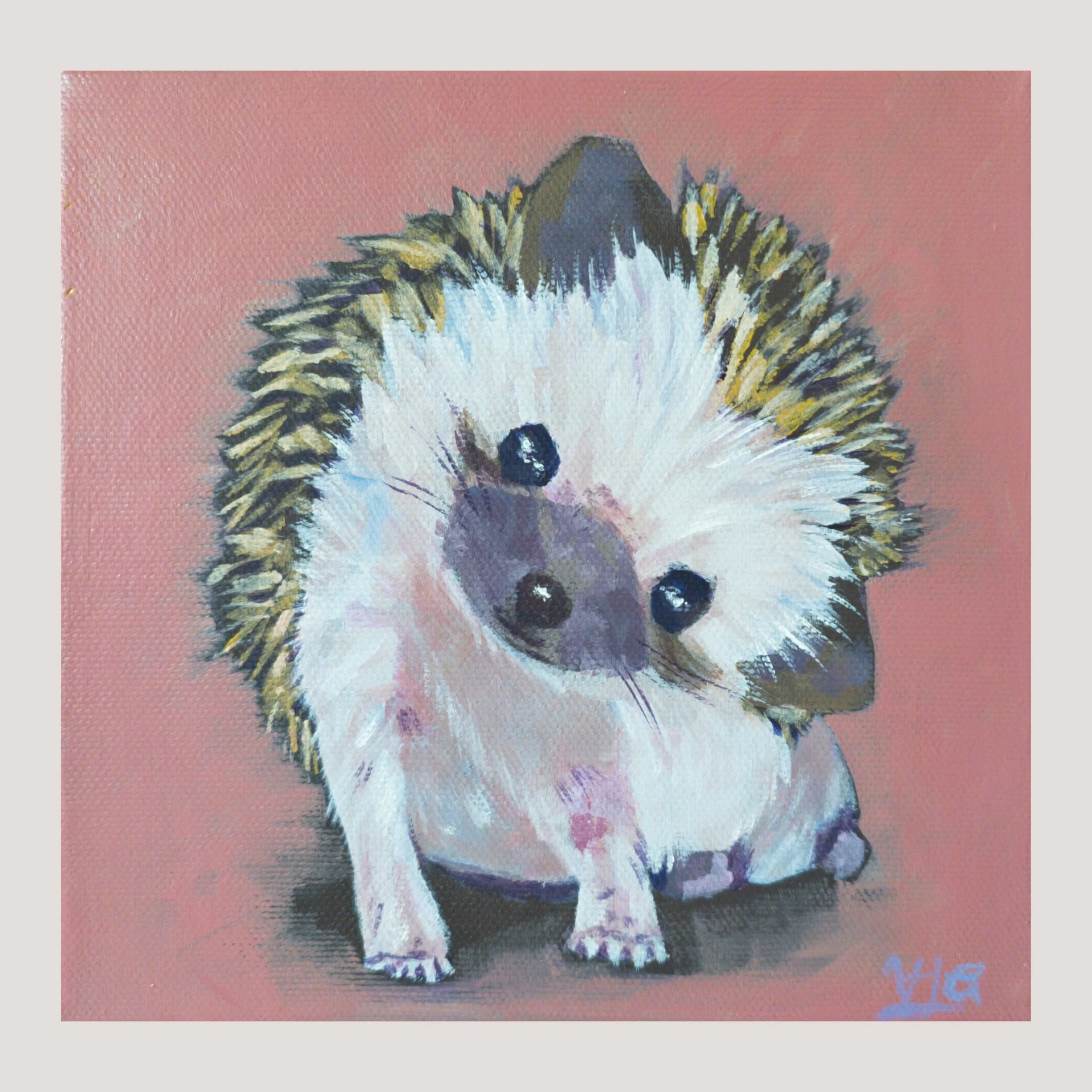 hedgehog web border.jpg