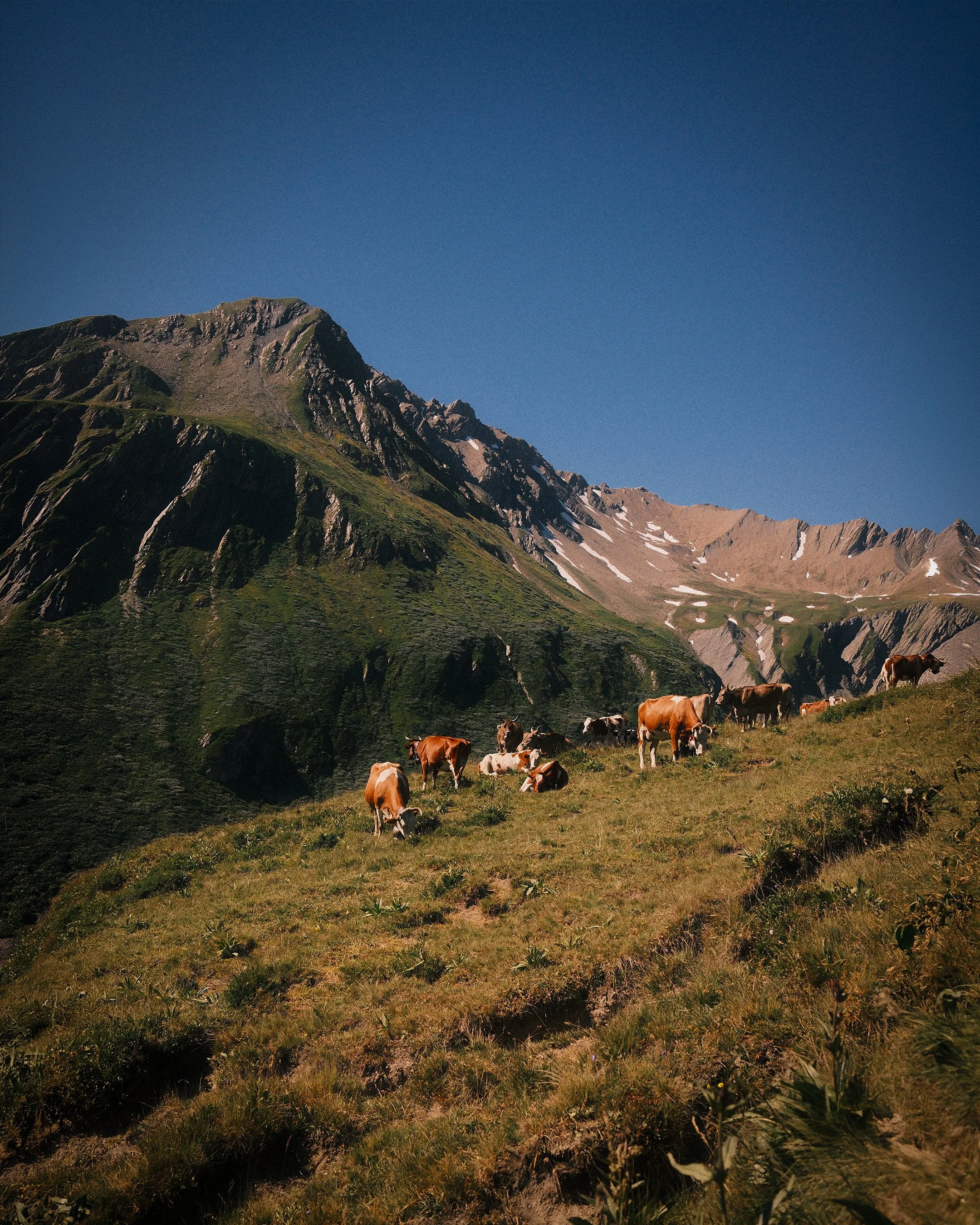 SWITZERLAND 10.jpg