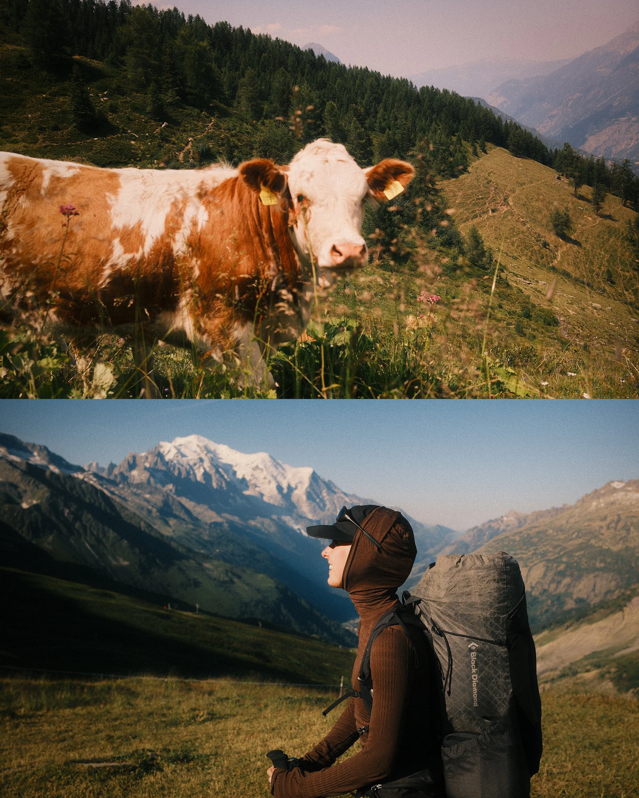 SWITZERLAND 9.jpg