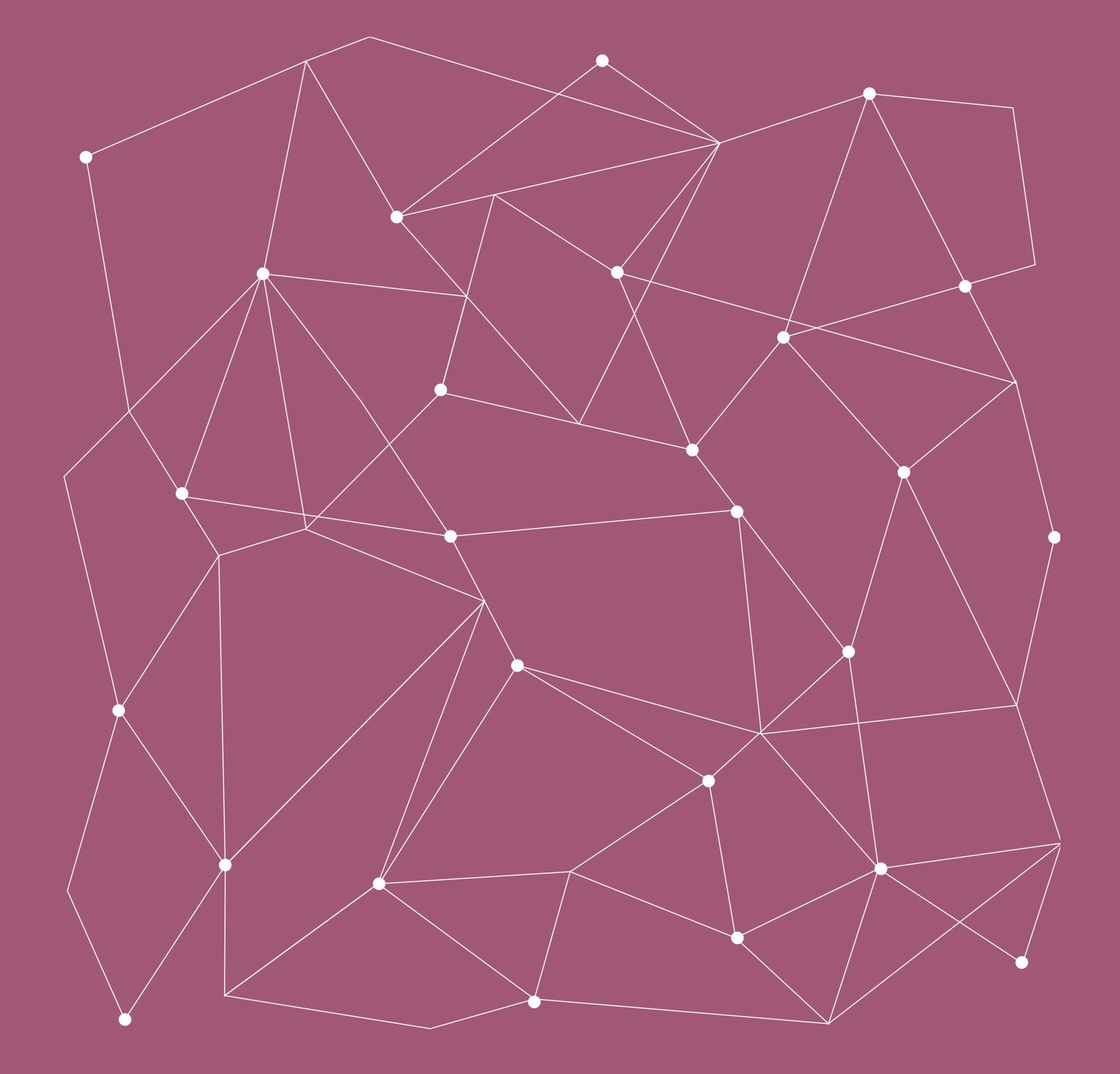 Nervensystem weiß auf pink.jpg