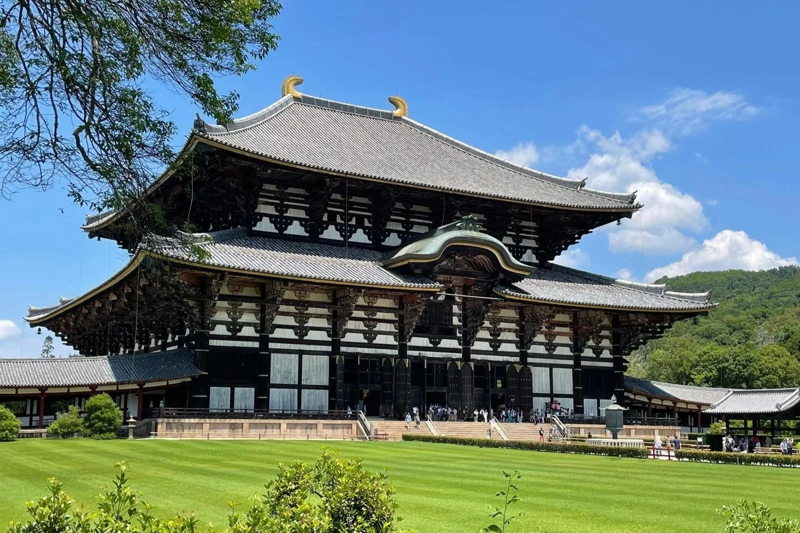 Nara+-+TodaiJi+Temple+WhatsApp+Image+2025-09-16+at+10.22.20.jpg