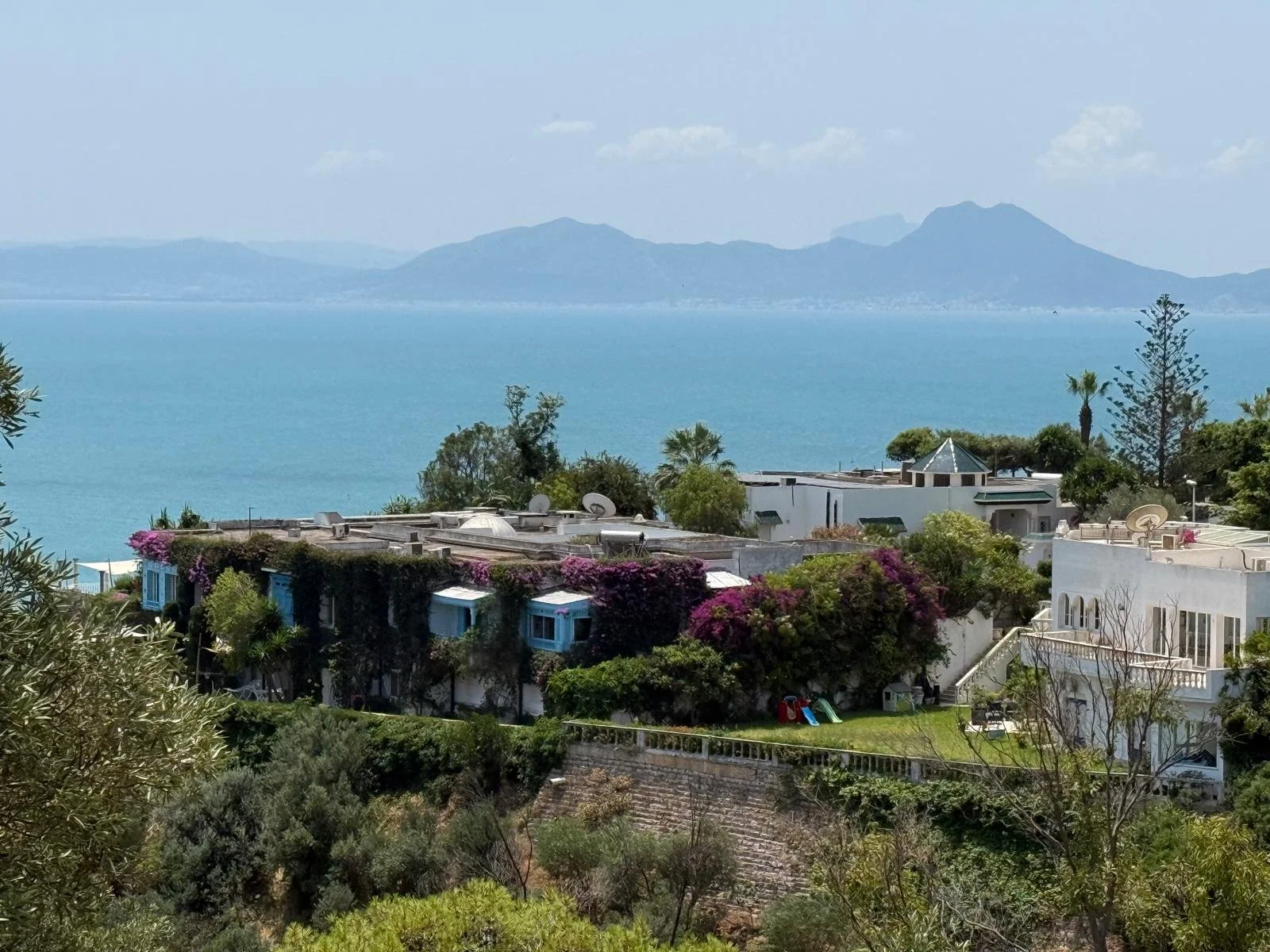 WhatsApp Image 2025-10-07 at 09.43.10.jpeg